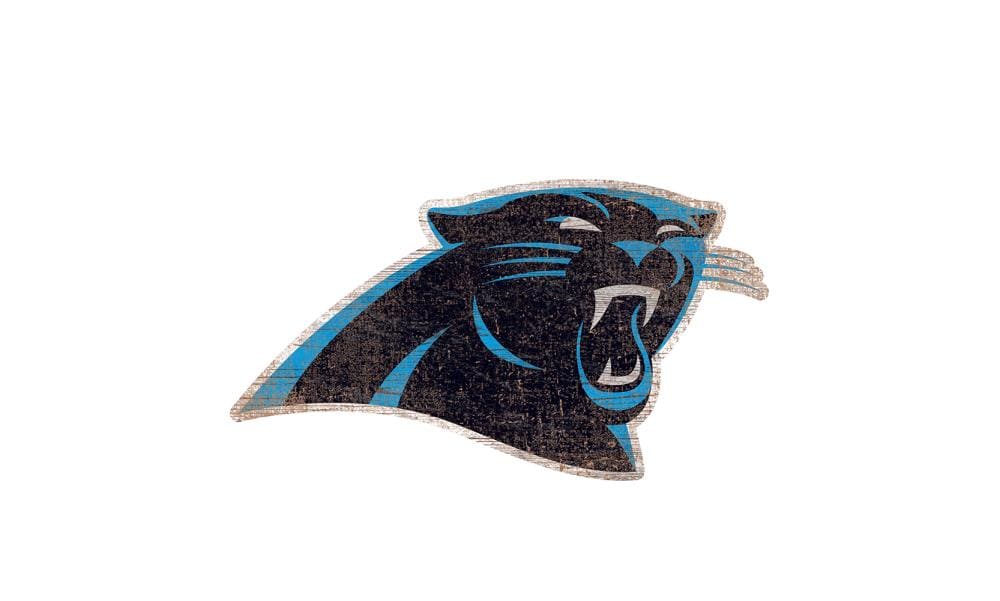 carolina panthers 24