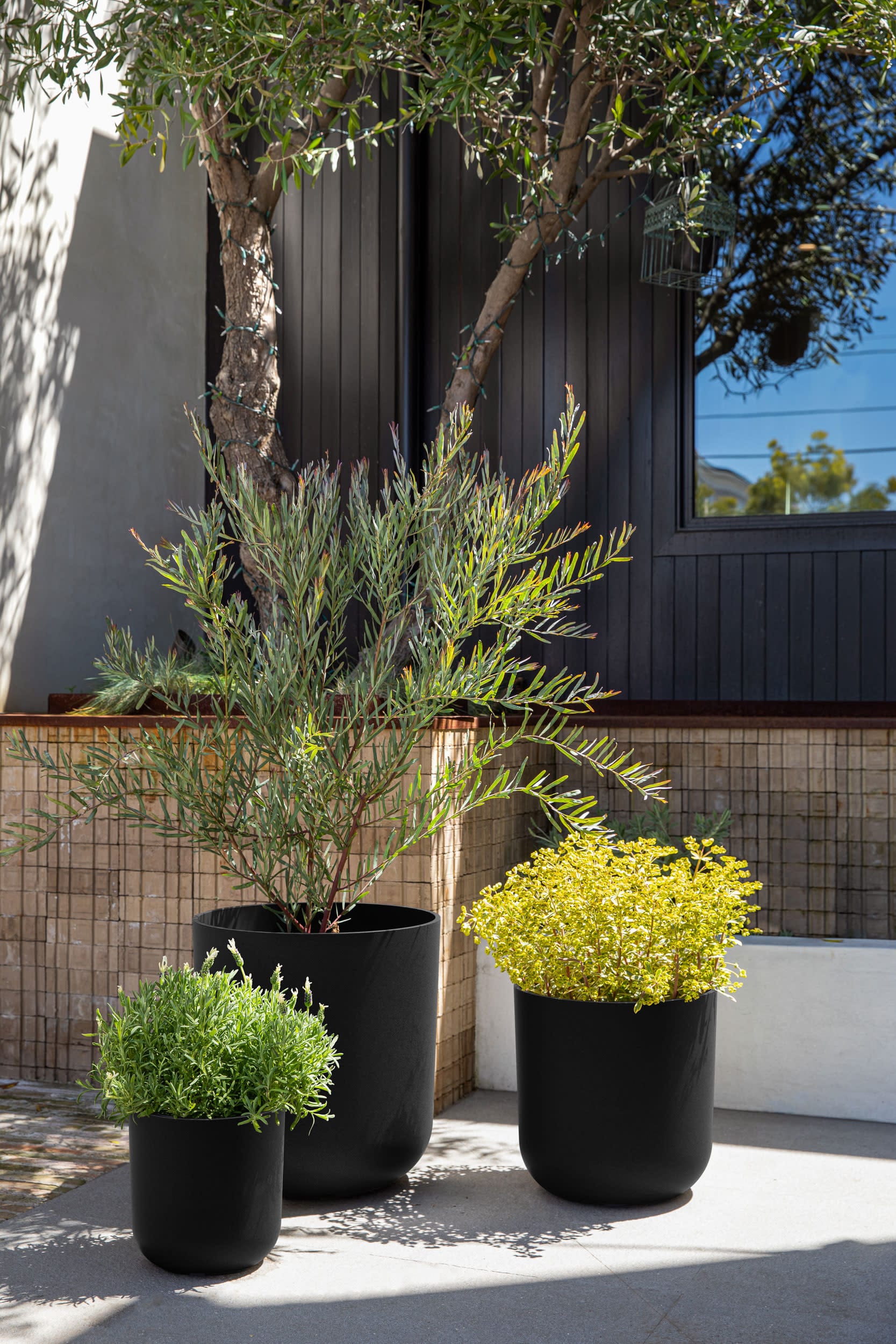 Veradek KNV-BUN-B Planter-Window-Box - View #5
