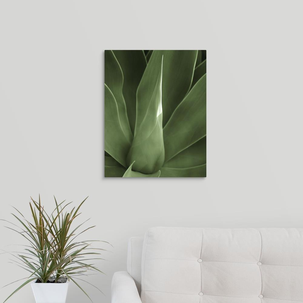 GreatBigCanvas 2442642-24-16X20 Wall-Art - View #2