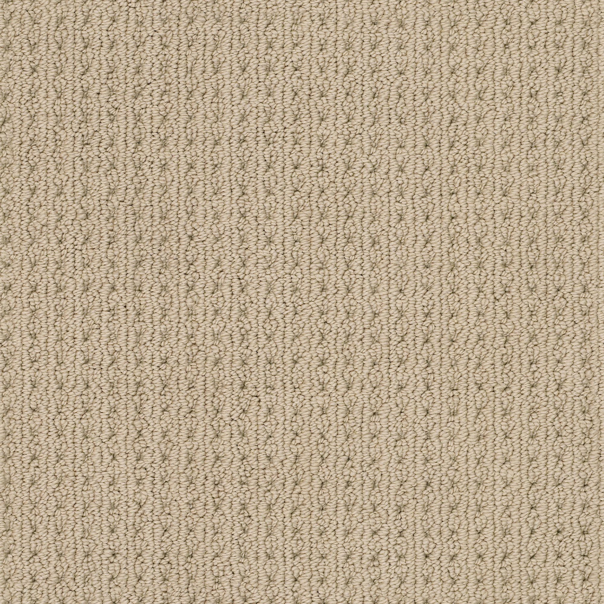 STAINMASTER 7L874 - 127 - SAMP (Sample) Revitalized Golden Brown 34.1-oz sq yard Polyester Textured Indoor Carpet