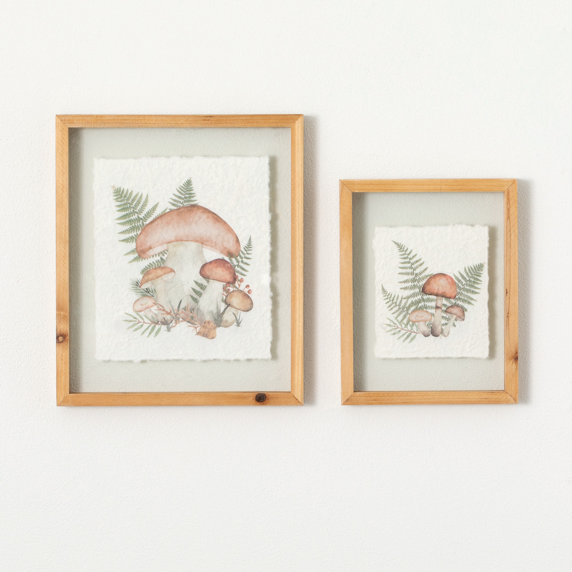 Sullivans N3145  Glass Mushroom Wall Decor Set of 2, 10" 13" Multicolor Brown Wood Framed 10-Inches H x 8-Inches W Botanical Wood Print