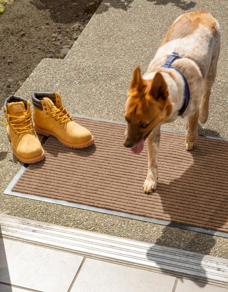 DII 10260A Mats-Cat - View #3