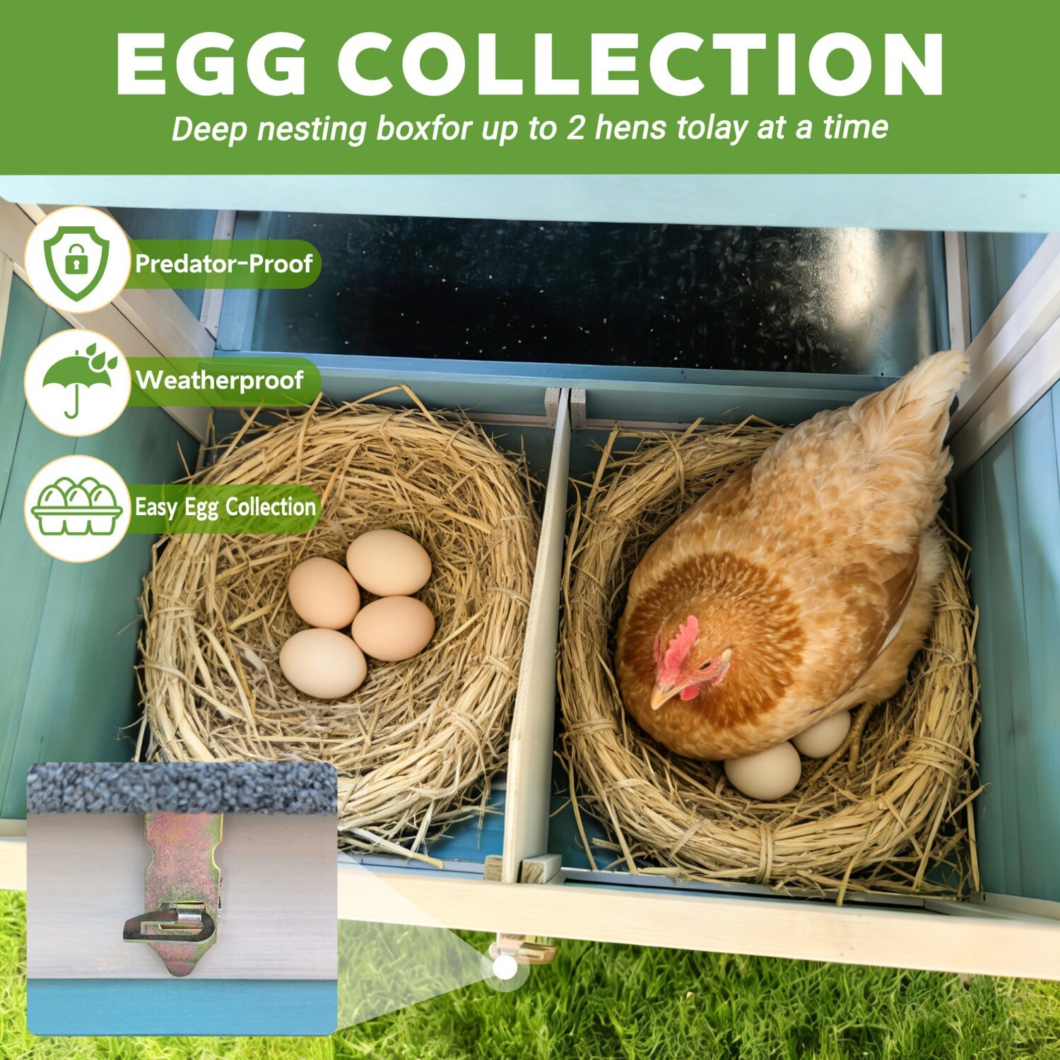 Mondawe MO-OU45596 Chicken-Coops-Rabbit-Hutches - View #5