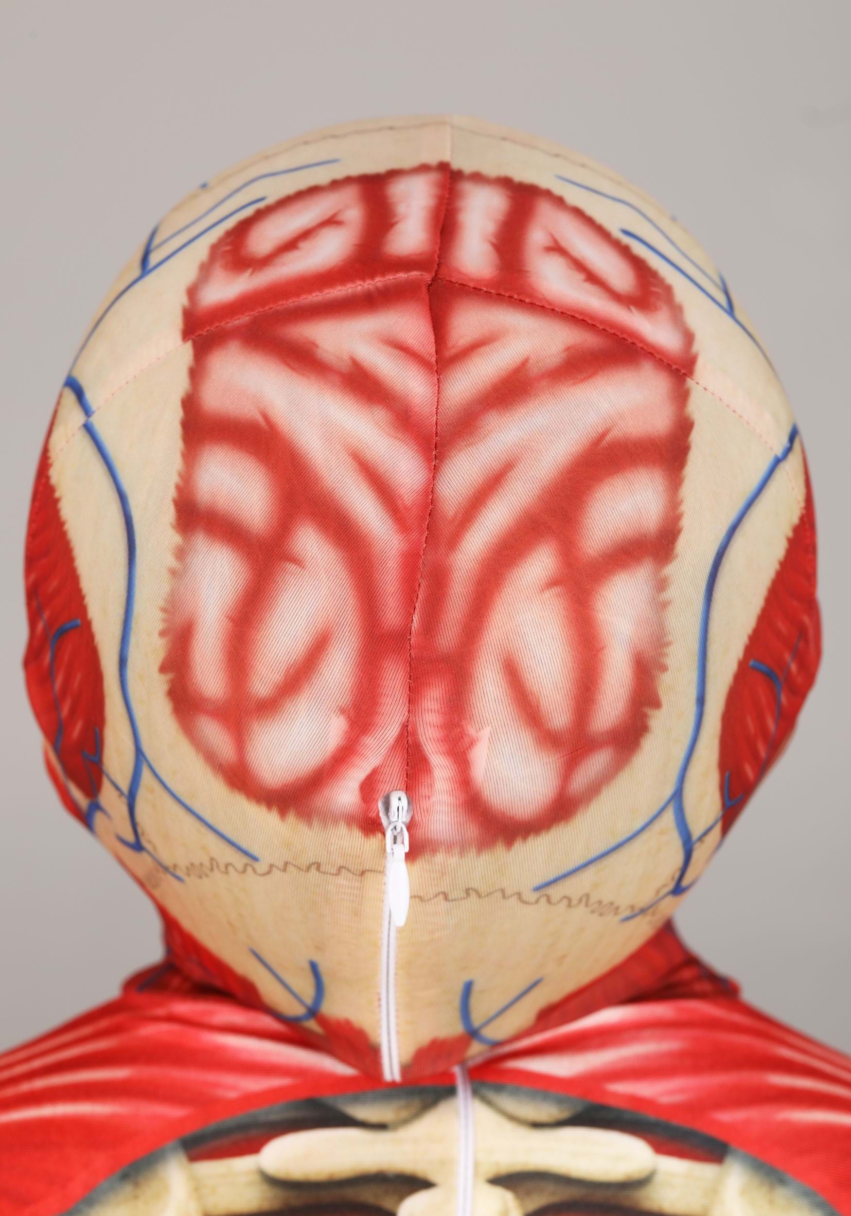 HalloweenCostumes.com FUN3650CH-XL costumes - View #4