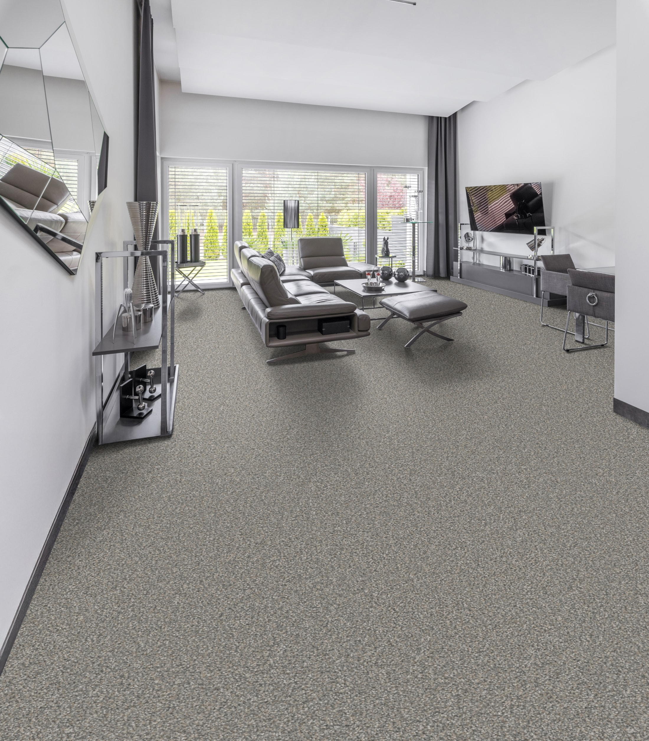 STAINMASTER L3005-409-0808 Carpet-Samples - View #2