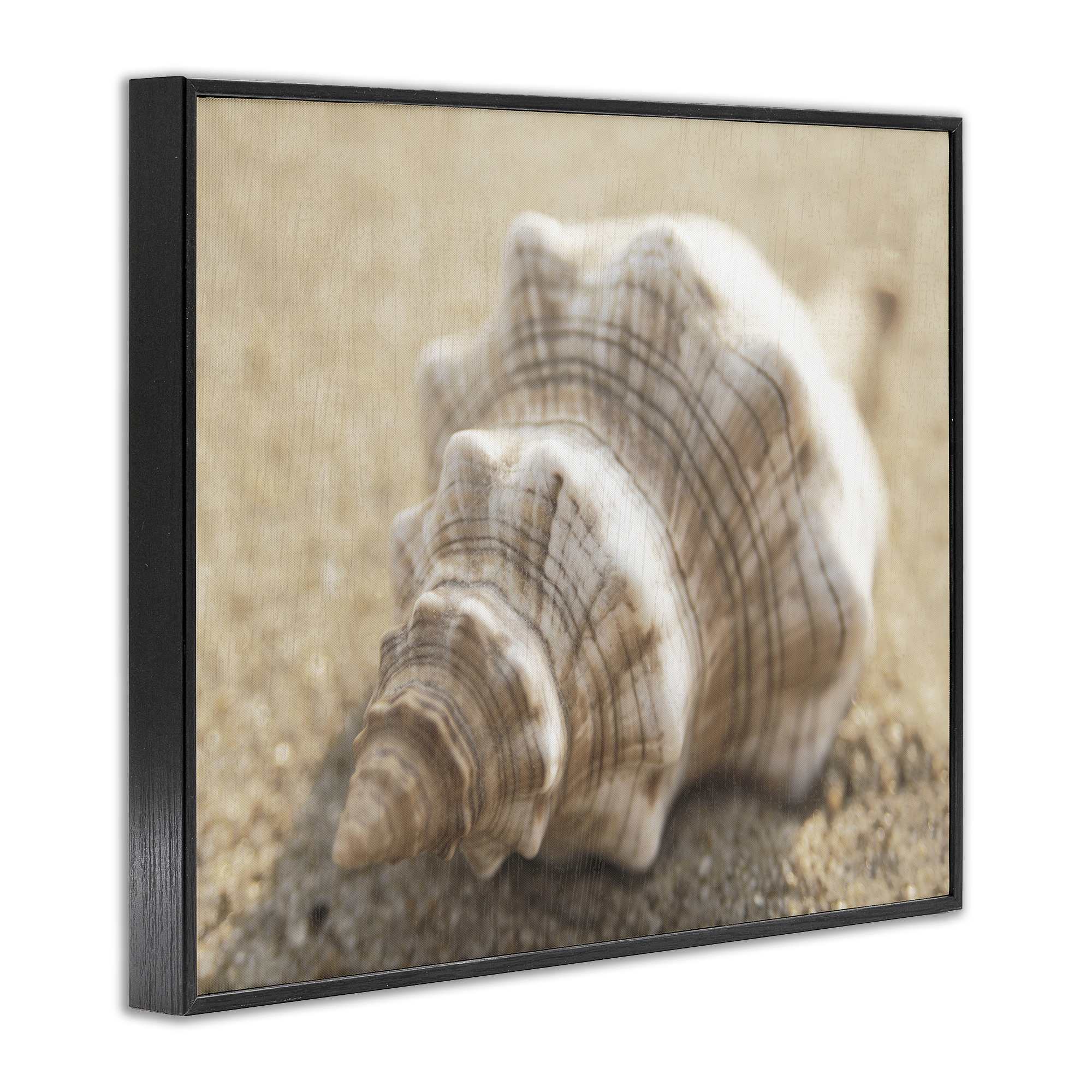 Stupell Industries BS-149-FR-16X20 Wall-Art - View #2