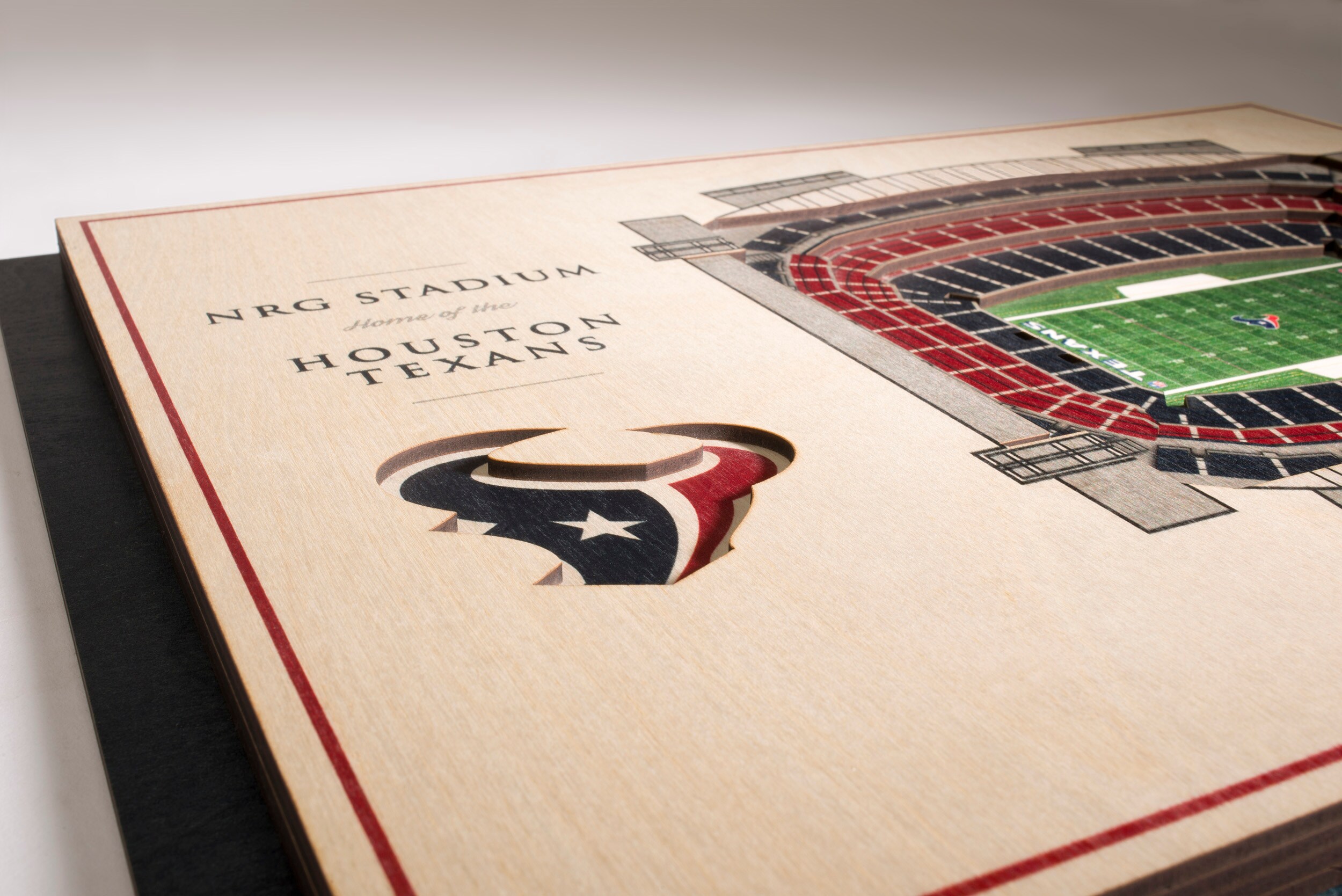 StadiumViews Houston Texans Youthefan Team Colors Floater Frame 13