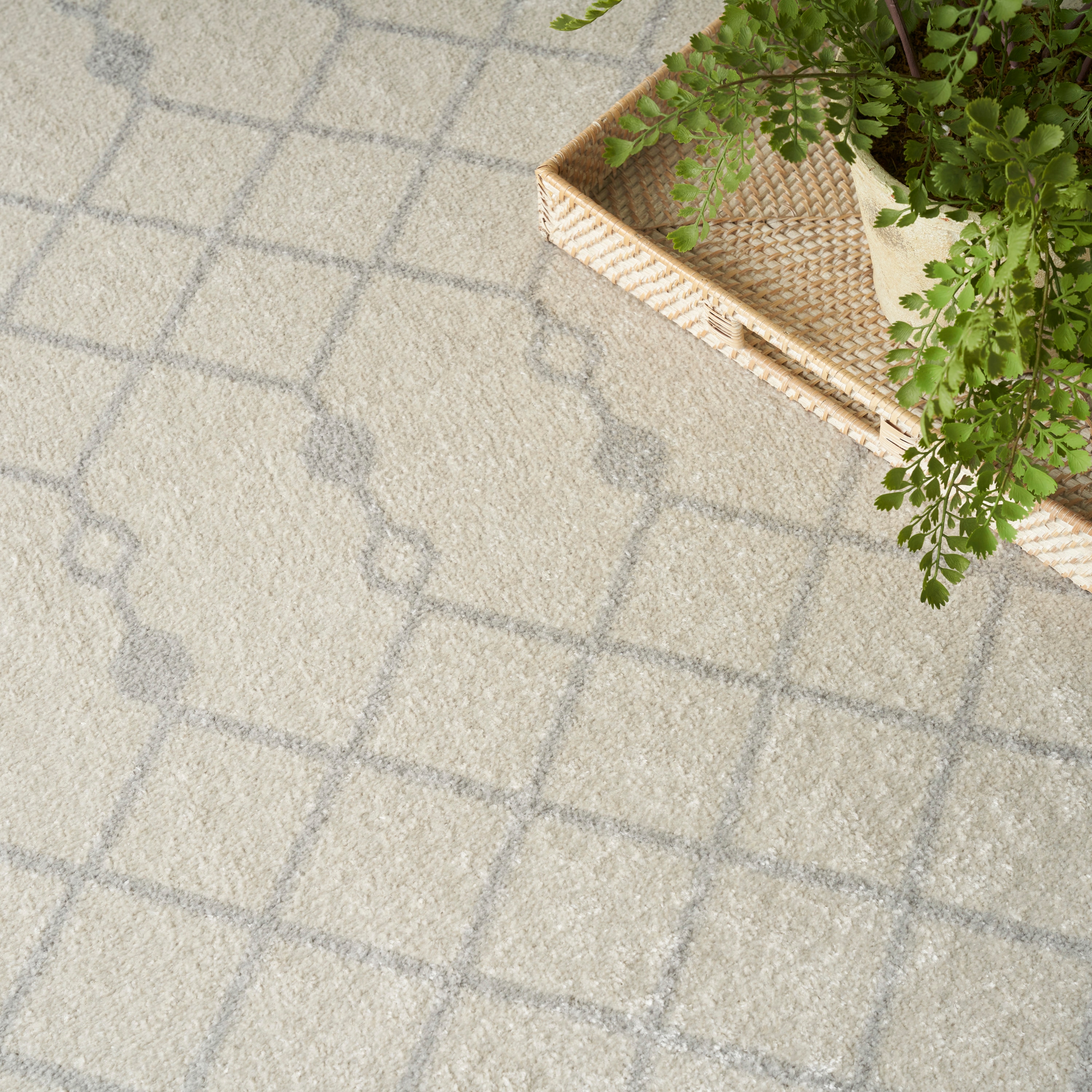 Nourison 099446123640 rugs - View #7
