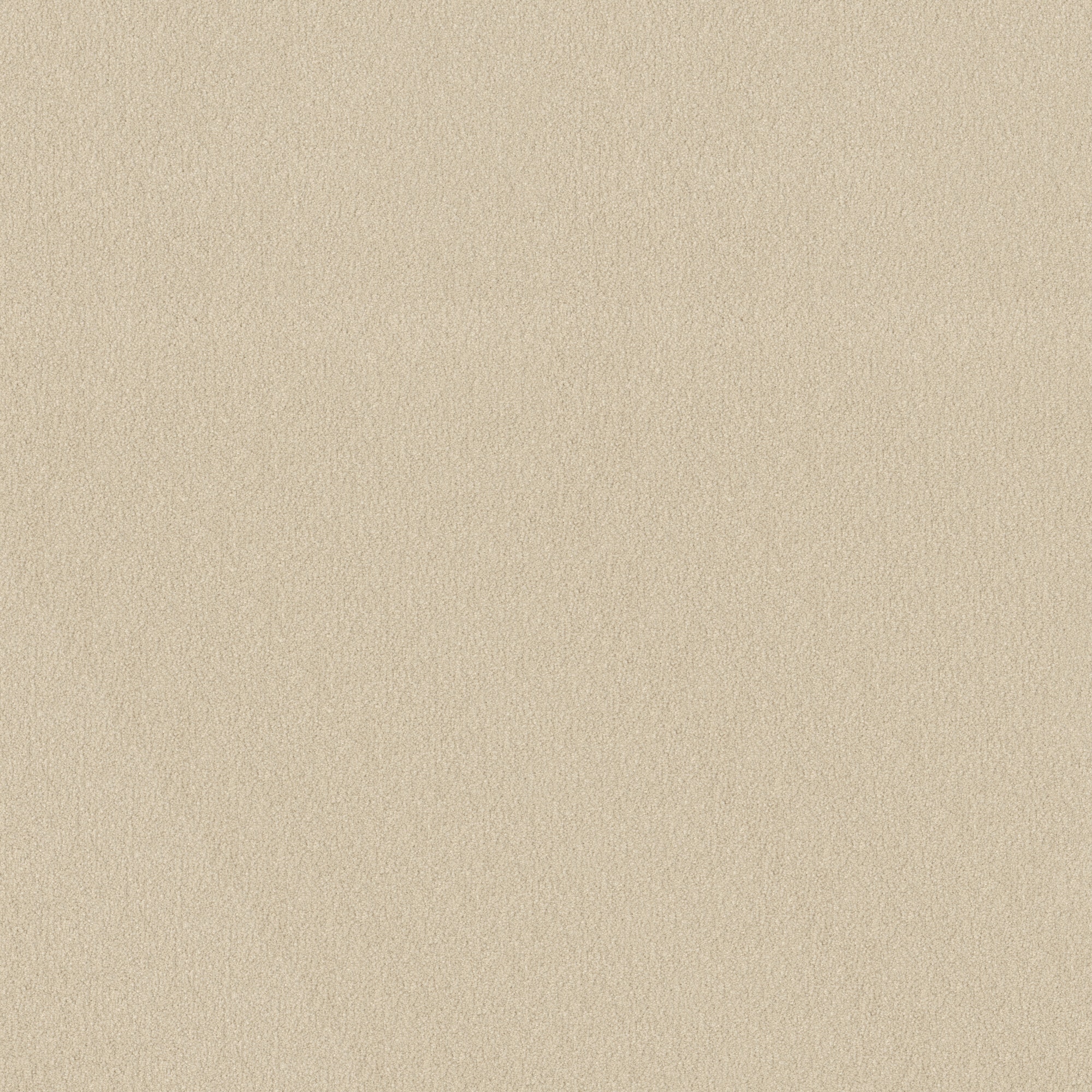 STAINMASTER PetProtect 7L893 - 101 - SAMP (Sample) Sweet Spot II Romano Off-white 58.5-oz sq yard Nylon Textured Indoor Carpet