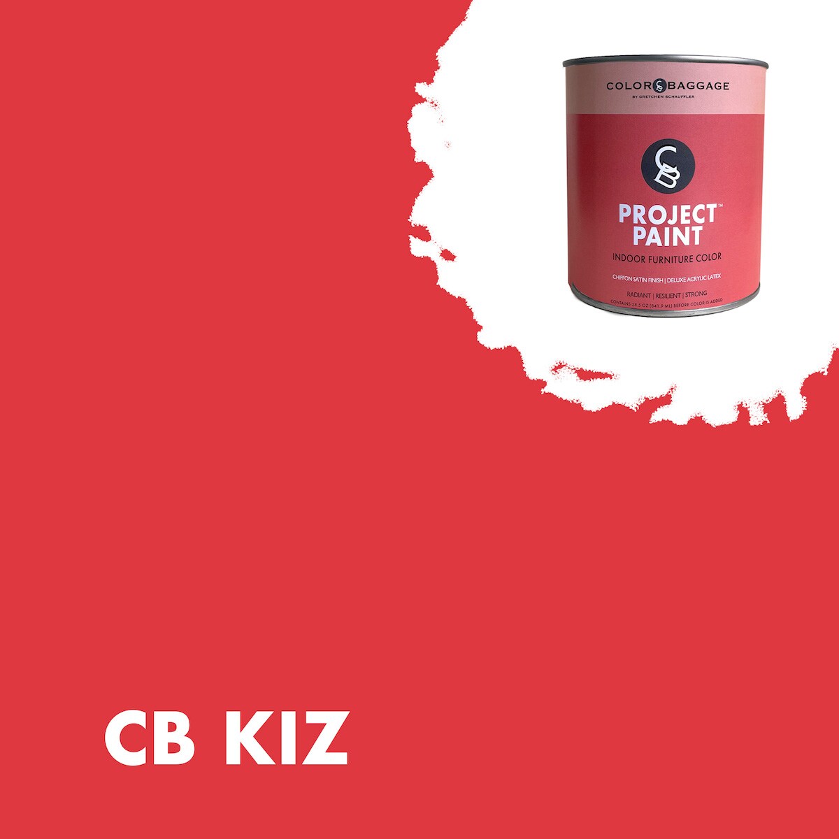 Color Baggage KIZ-PIF-SAT-G Project Paint Indoor Satin Kiz ( 1-gallon )