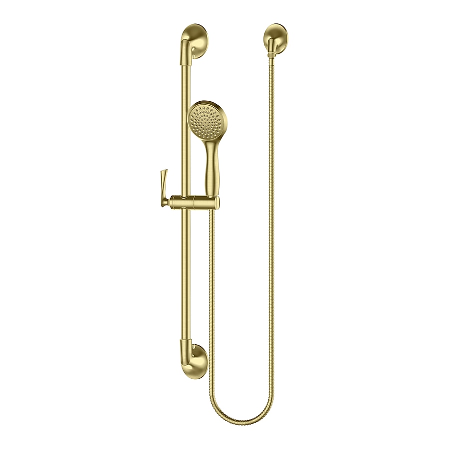 Pfister Rhen Brushed Gold 1-Spray Handheld Shower 1.8-GPM (6.8-LPM) Pfister Rhen Brushed Gold 1-Spray Handheld Shower 1.8-GPM (6.8-LPM)