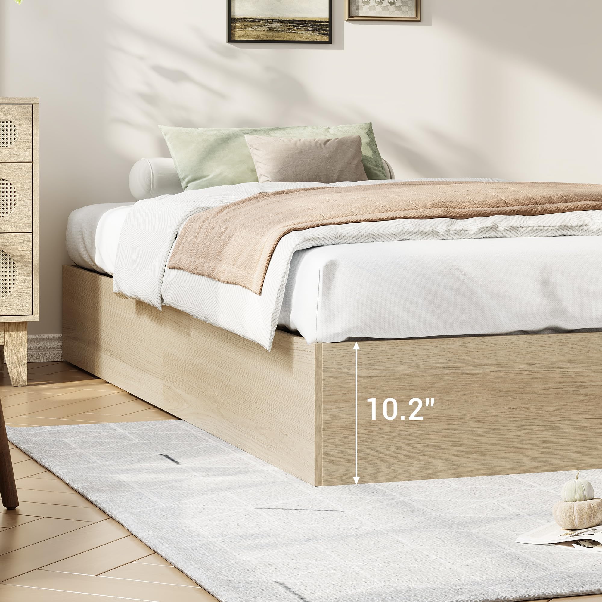 Assile YZM-828753173785 beds - View #5