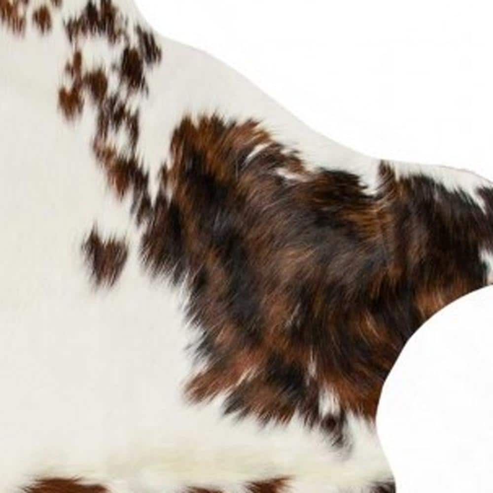 HomeRoots 317338 rugs - View #5