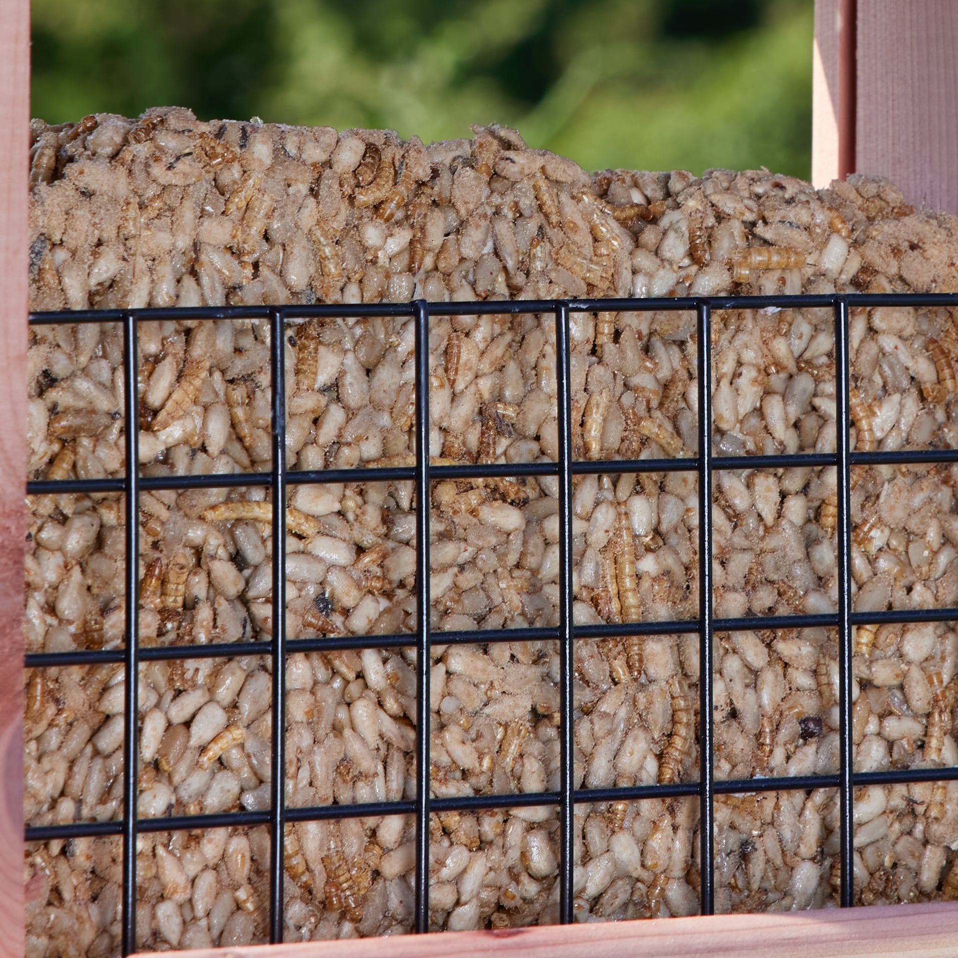 National Audubon Society 00897 Bird-Squirrel-Food - View #8