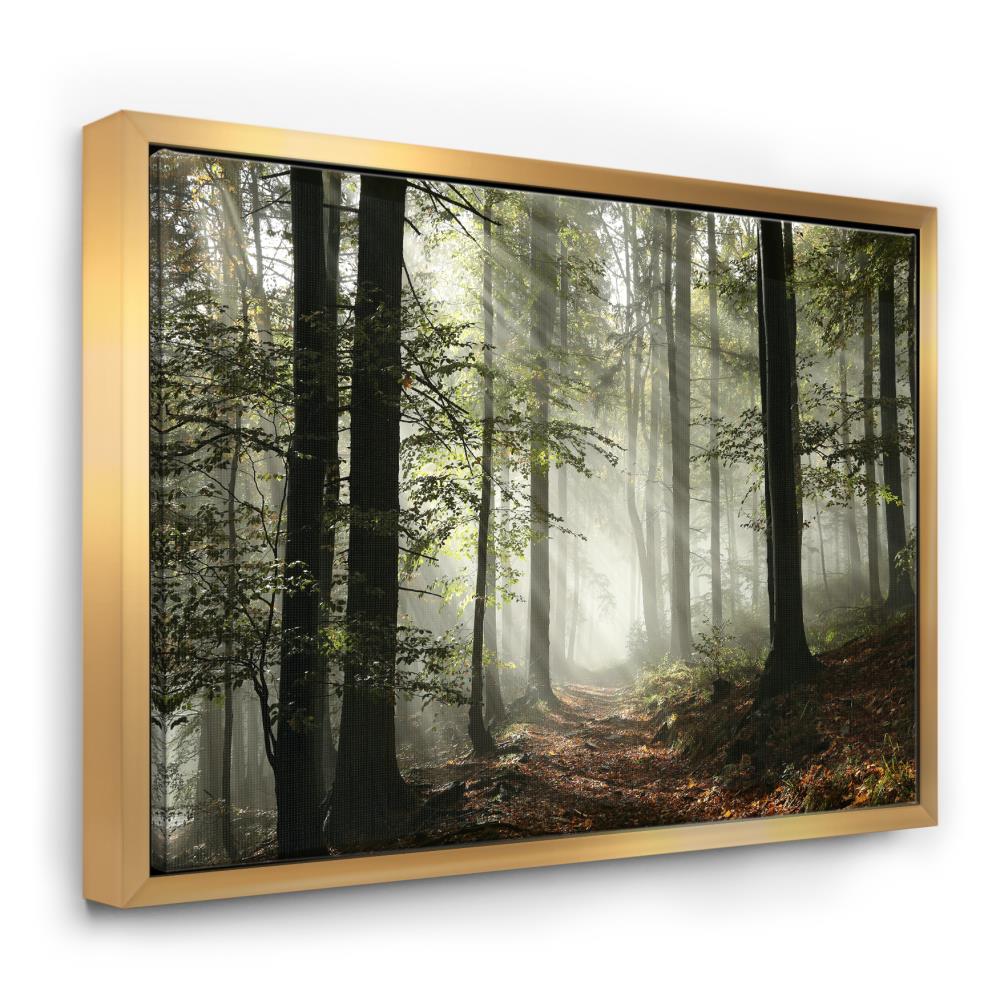 Designart FL9835-46-36-GD Gold Wood Floater frame 36-Inches H x 46-Inches W Landscape Canvas Print
