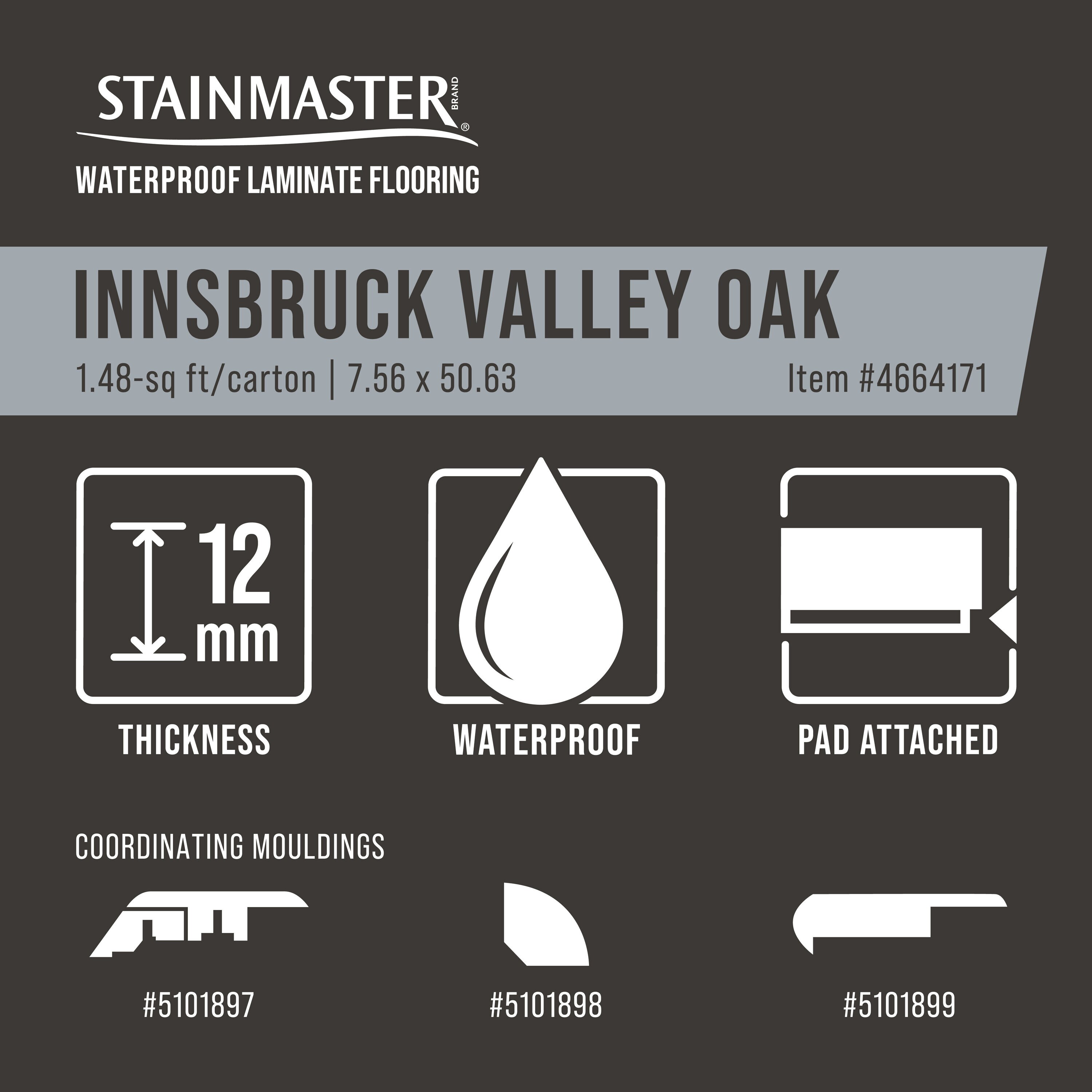 STAINMASTER 56239 laminates - View #13