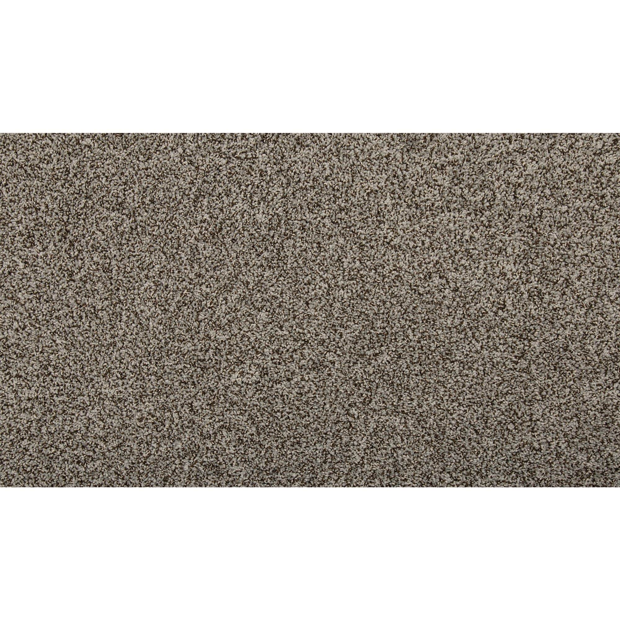 STAINMASTER SS013-L011-0808 (Sample) Memorable Touch II Smokey Haze Gray 50-oz sq yard Solution-dyed polyester Textured Indoor Carpet