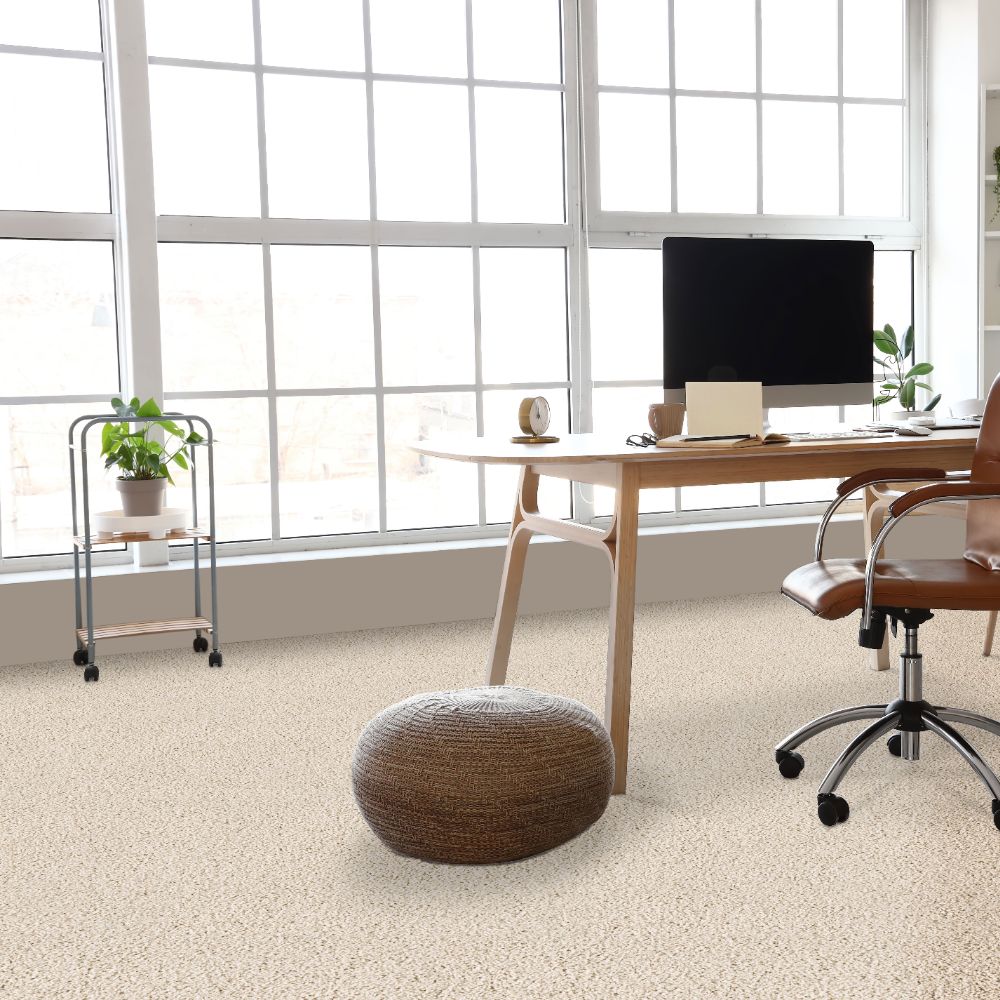 STAINMASTER SS053-12-L008 Carpet-Panel - View #2