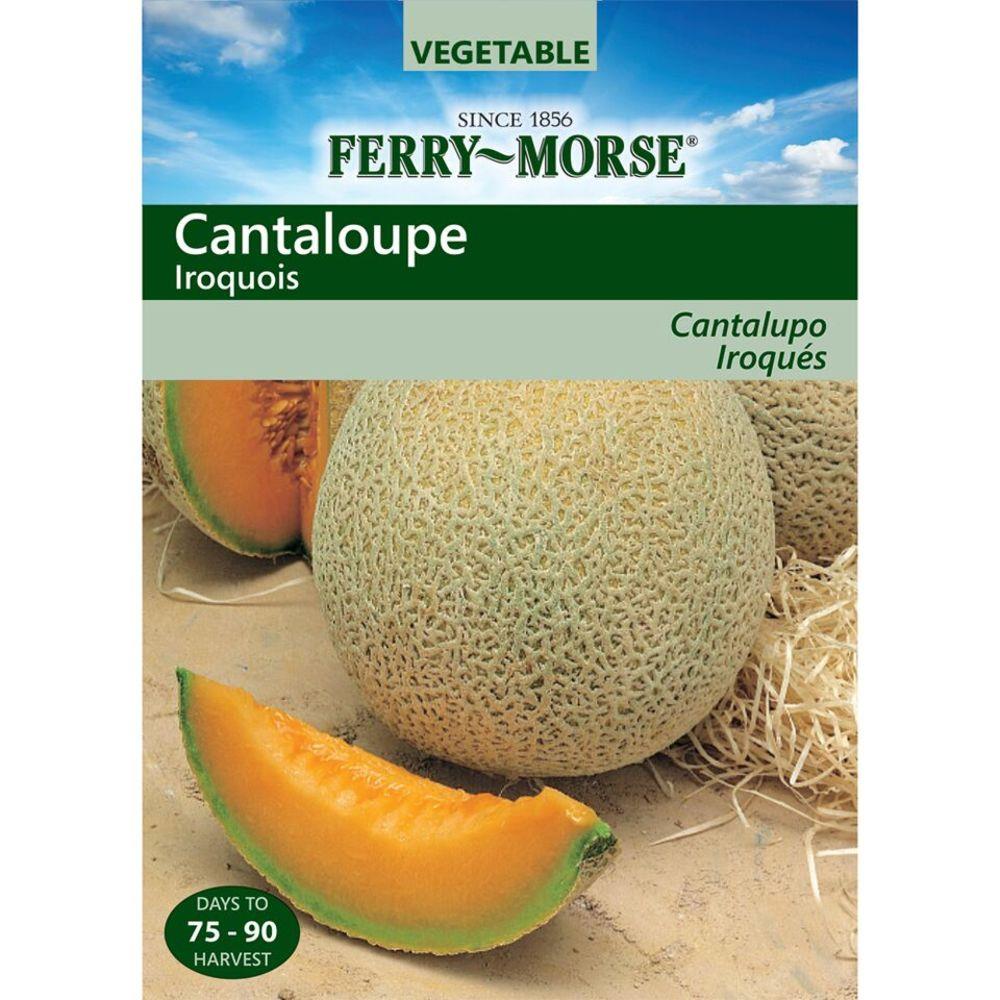 Ferry-Morse 472223.199.463610 2.5-Gram Cantaloupe Iroquois (L0000)