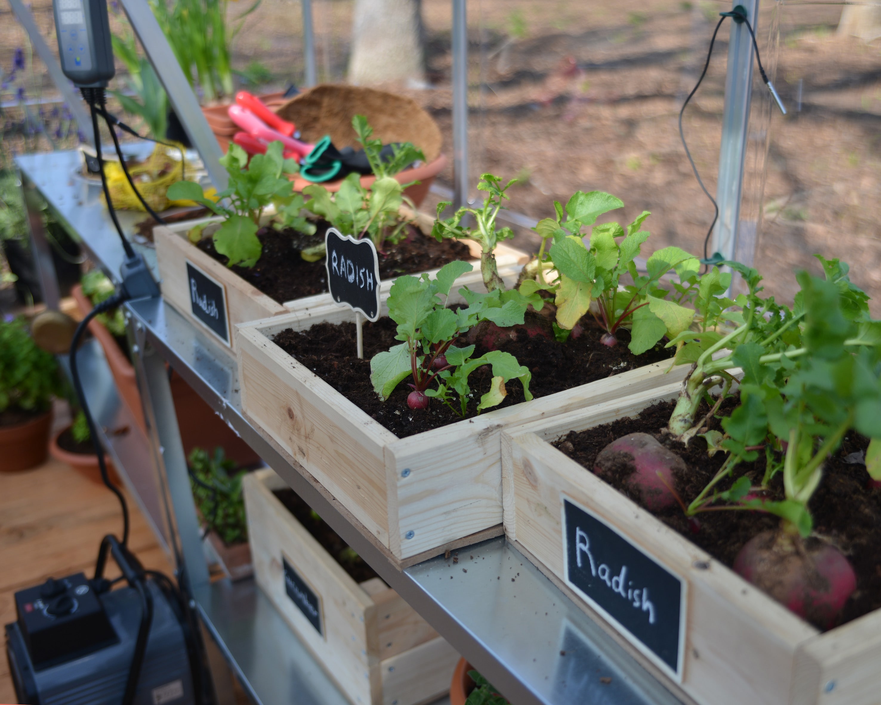 Canopia by Palram 705431 greenhouses - View #6