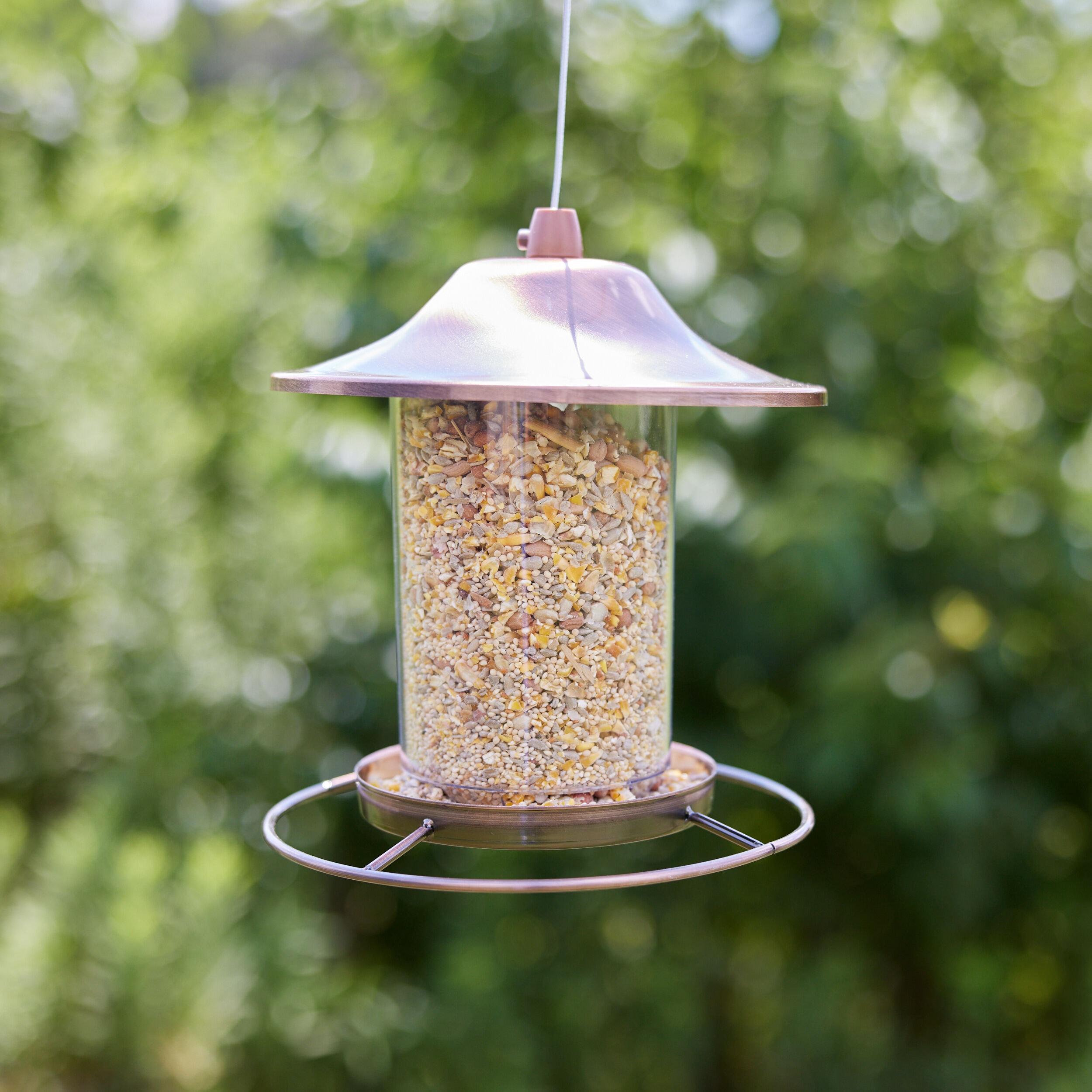 National Audubon Society 009464 Bird-Squirrel-Food - View #5