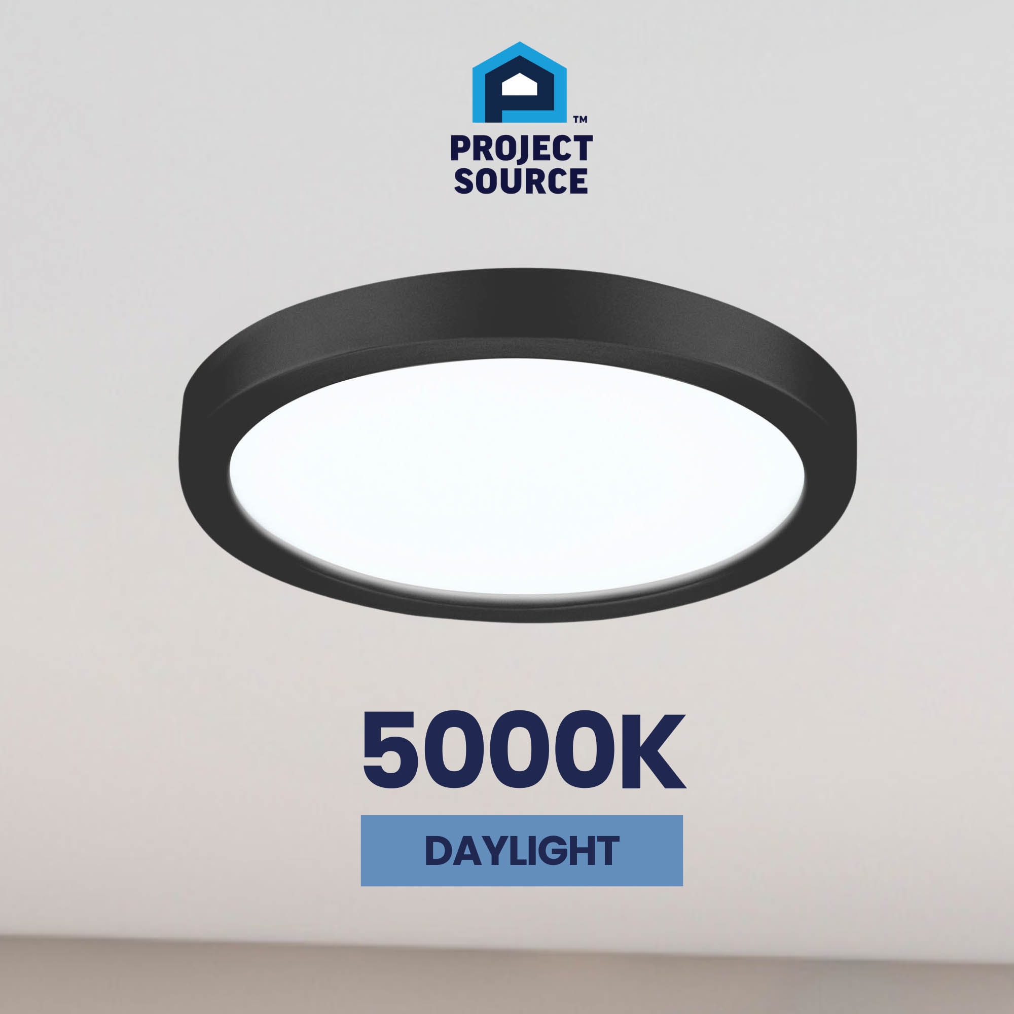 Project Source 43553 flushmounts - View #13