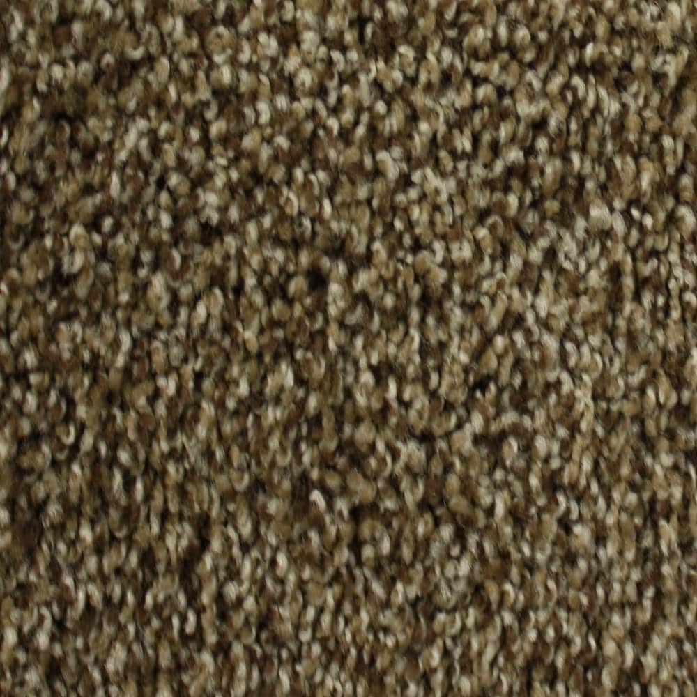 STAINMASTER 52235-102-1200-AB (Sample) PetProtect Nitro 5 Day Milky Way Textured Carpet