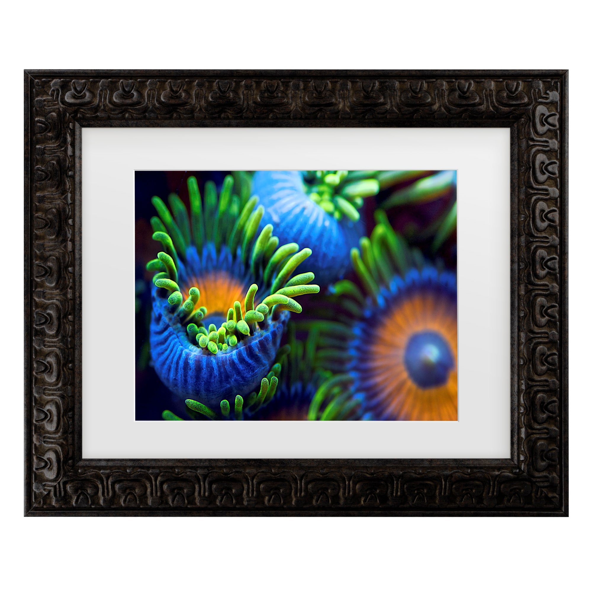 Trademark Fine Art 1X10263-DG1620MF Wall-Art - View #2
