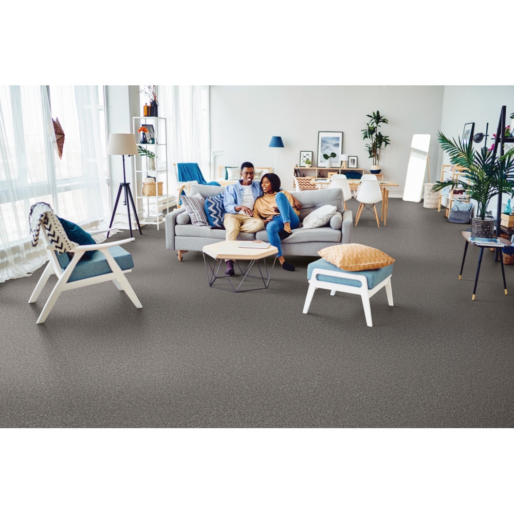 STAINMASTER 7L86900501 Carpet-Panel - View #4