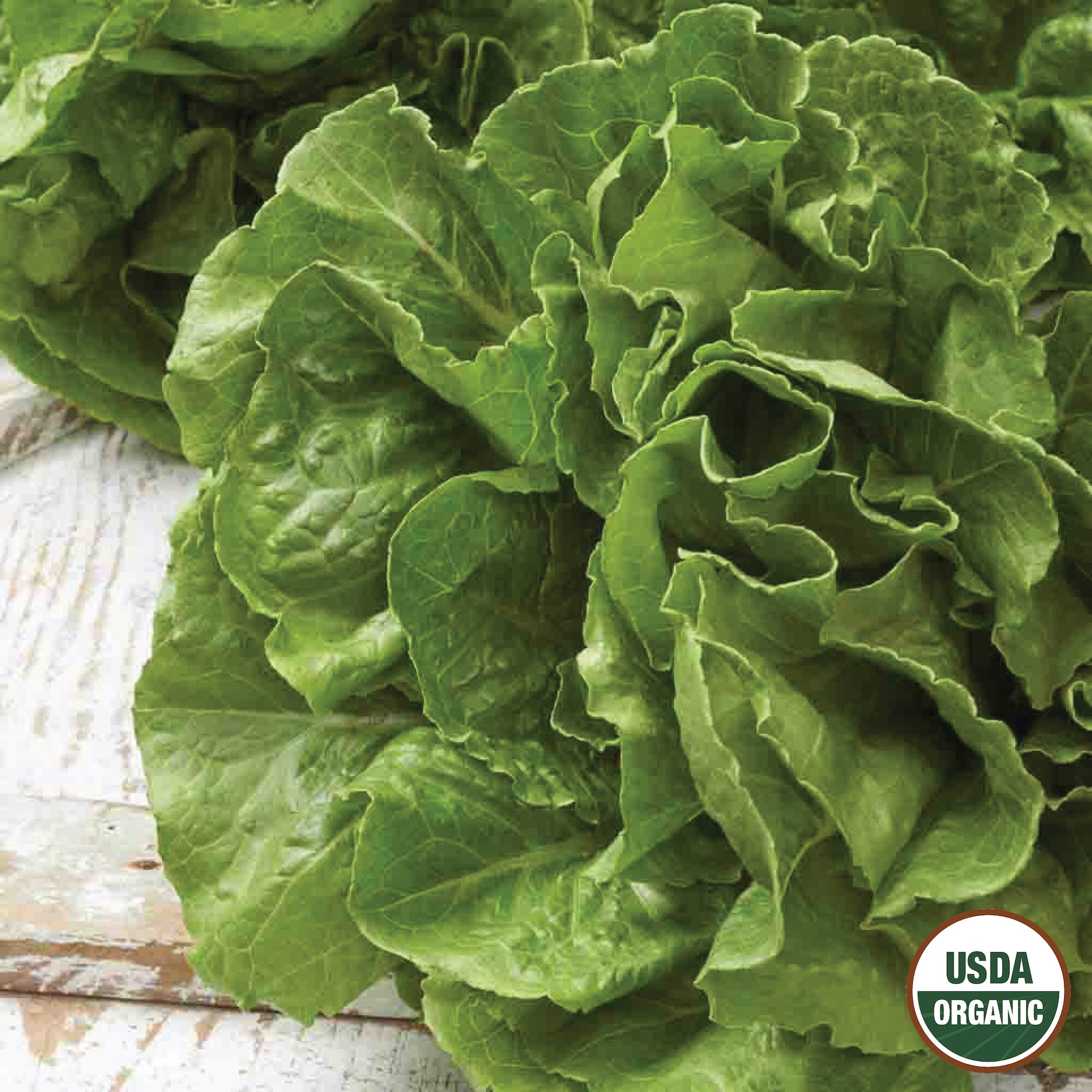 Ferry-Morse LC25.1385 Vegetable-Herb-Seeds - View #3