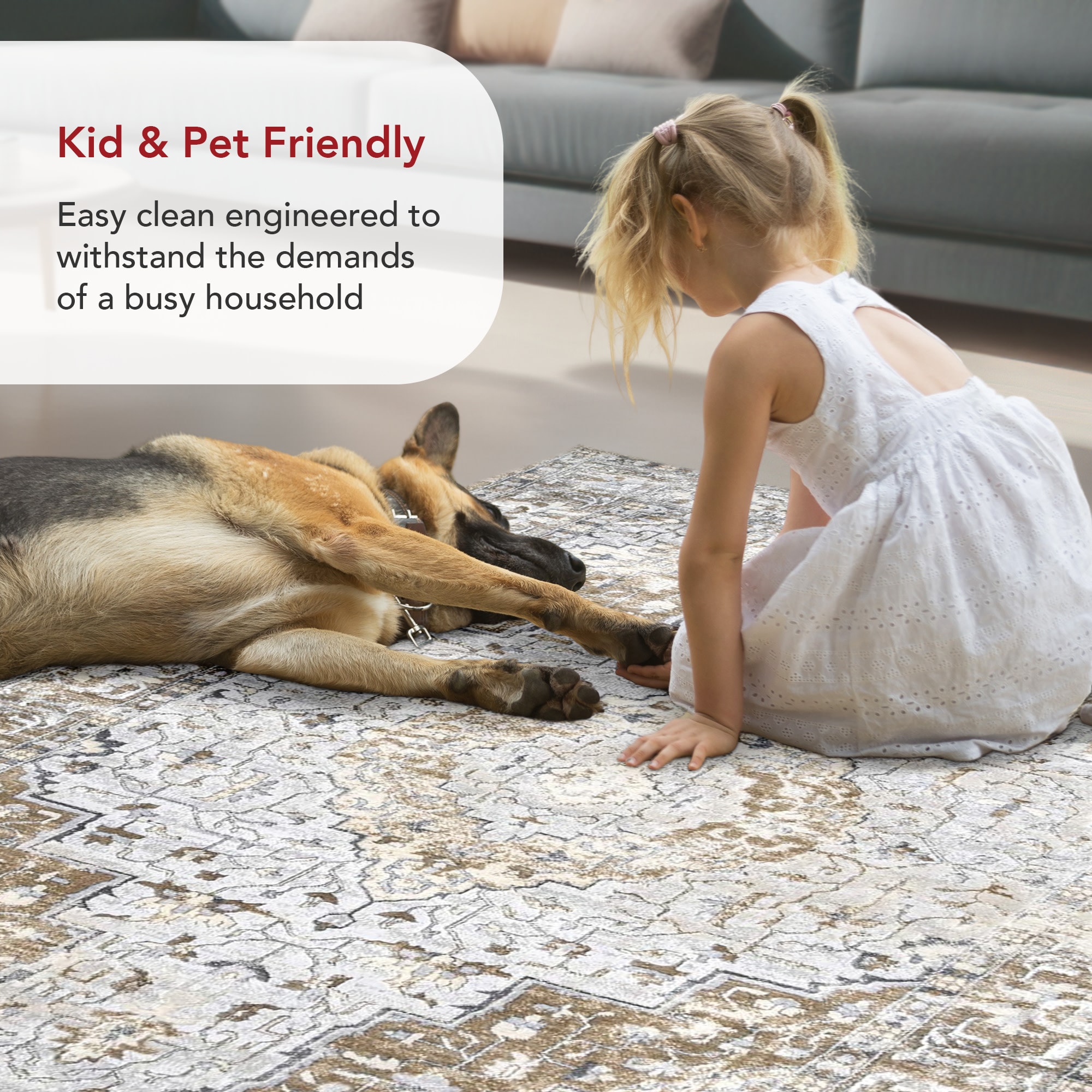 nuLOOM 200LPCY01A-8010 rugs - View #4