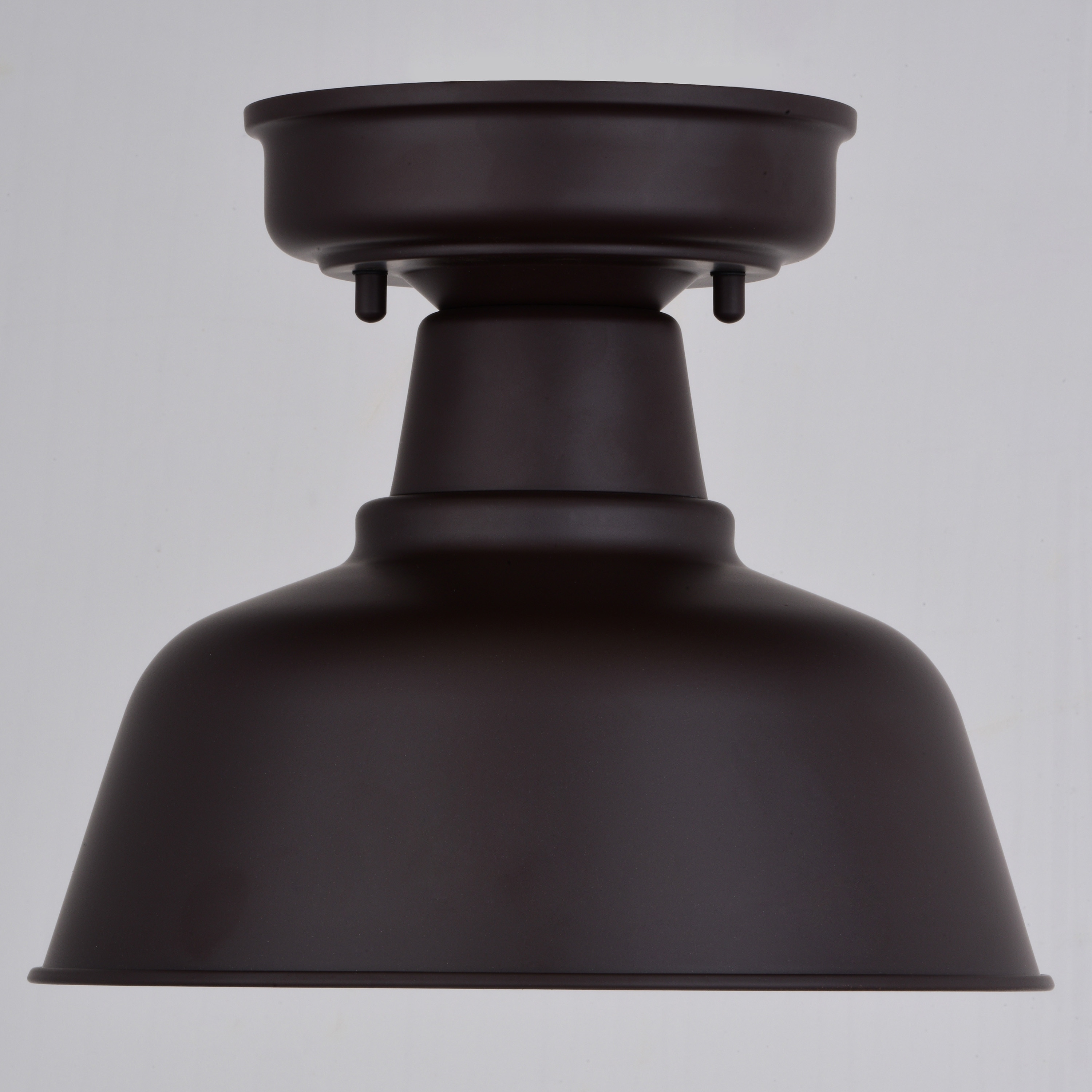 Bronze and Gold Farmhouse Indoor/Outdoor LED Ceiling Light