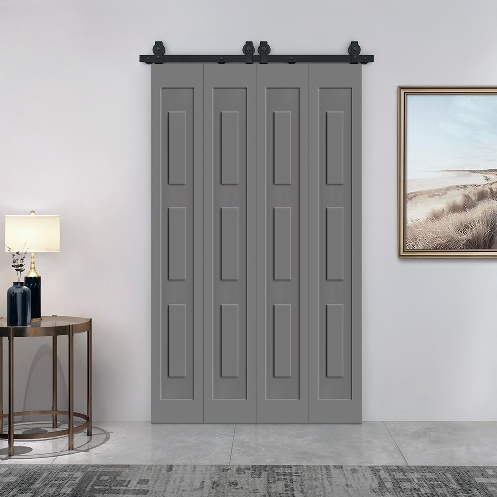 CALHOME 1905T+MSQ3-84X34SG(2 Barn-Doors - View #3