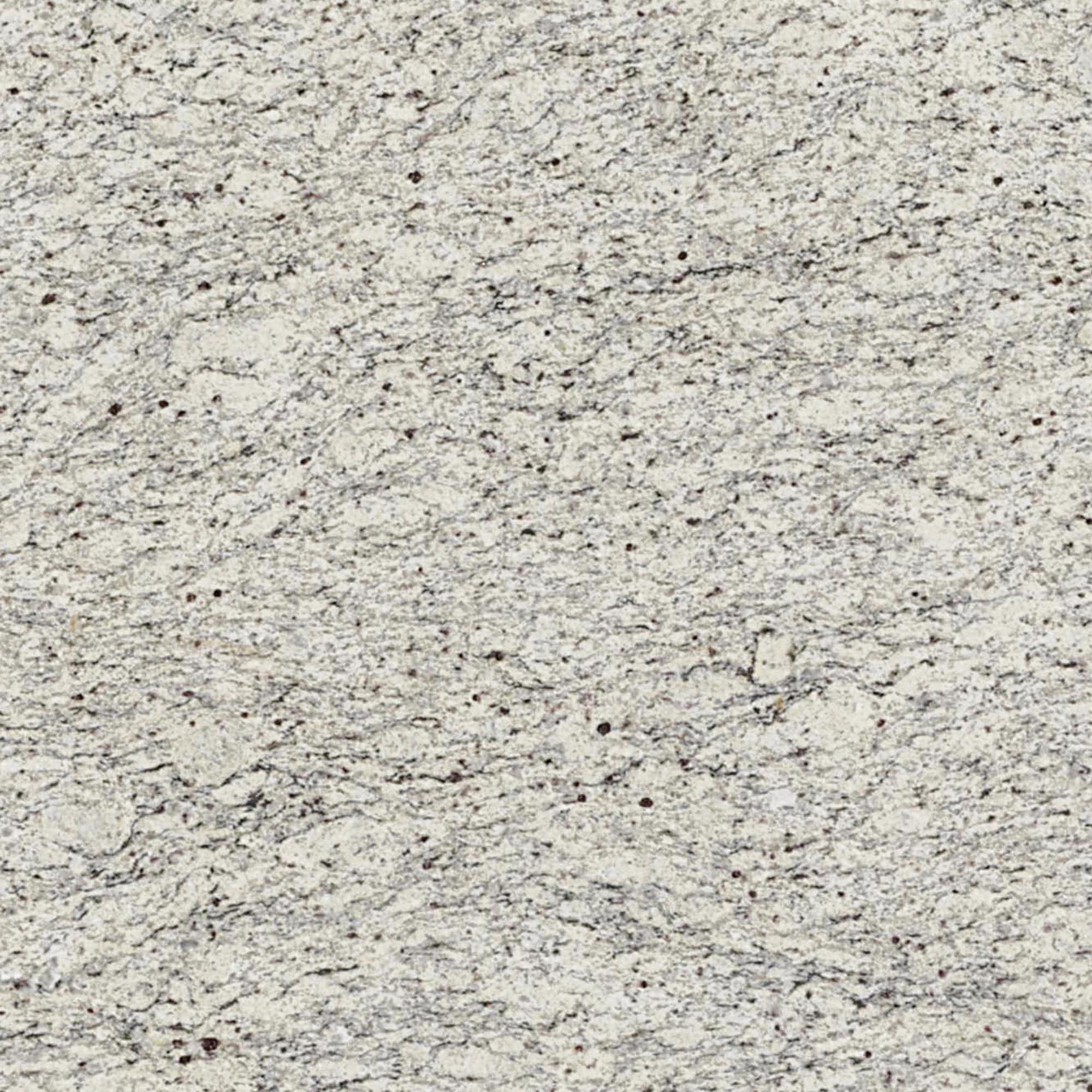 ONE Natural Stone G331SLAB11/42L Giallo Ornamental Giallo Ornamental Granite Off-white Kitchen Countertop SAMPLE ( 3-in x 3-in )