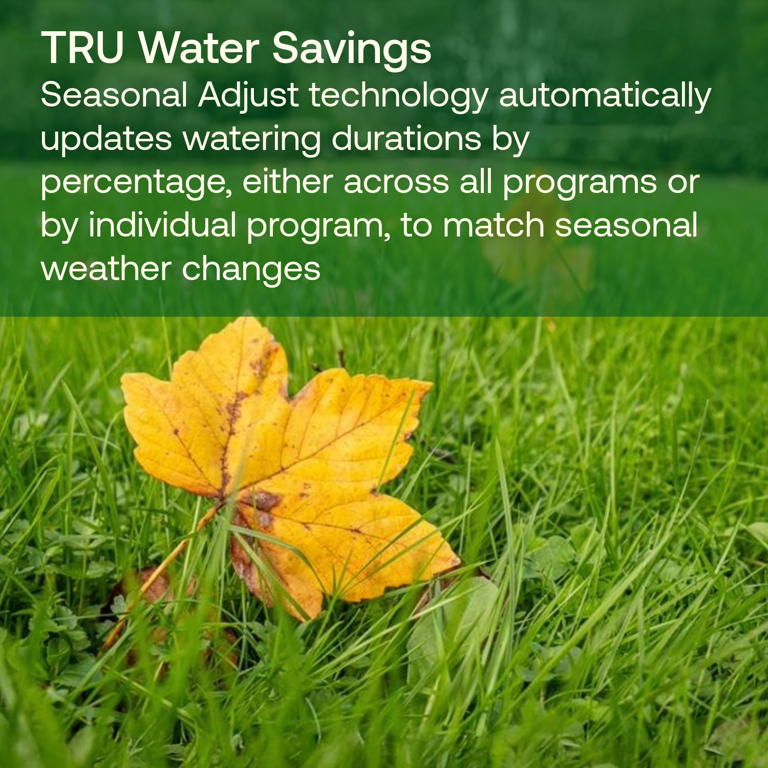 Rain Bird C53119 Irrigation-Timers - View #3
