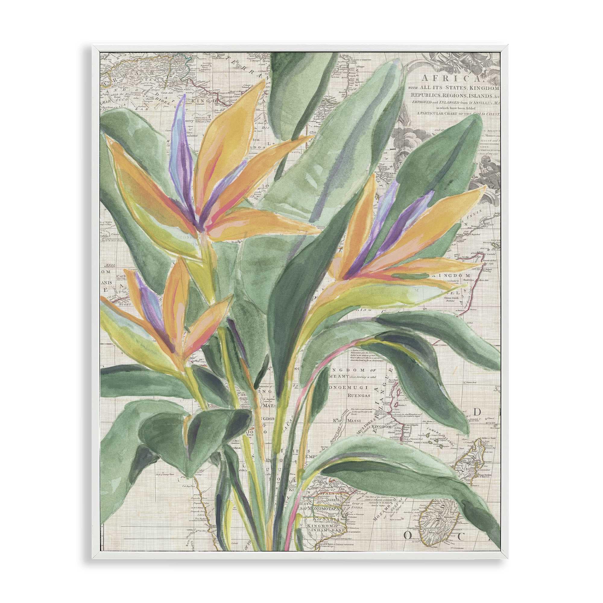 Stupell Industries BS-389-WFR-11X14 Bird of Paradise over Map Framed Giclee design by June Erica Vess