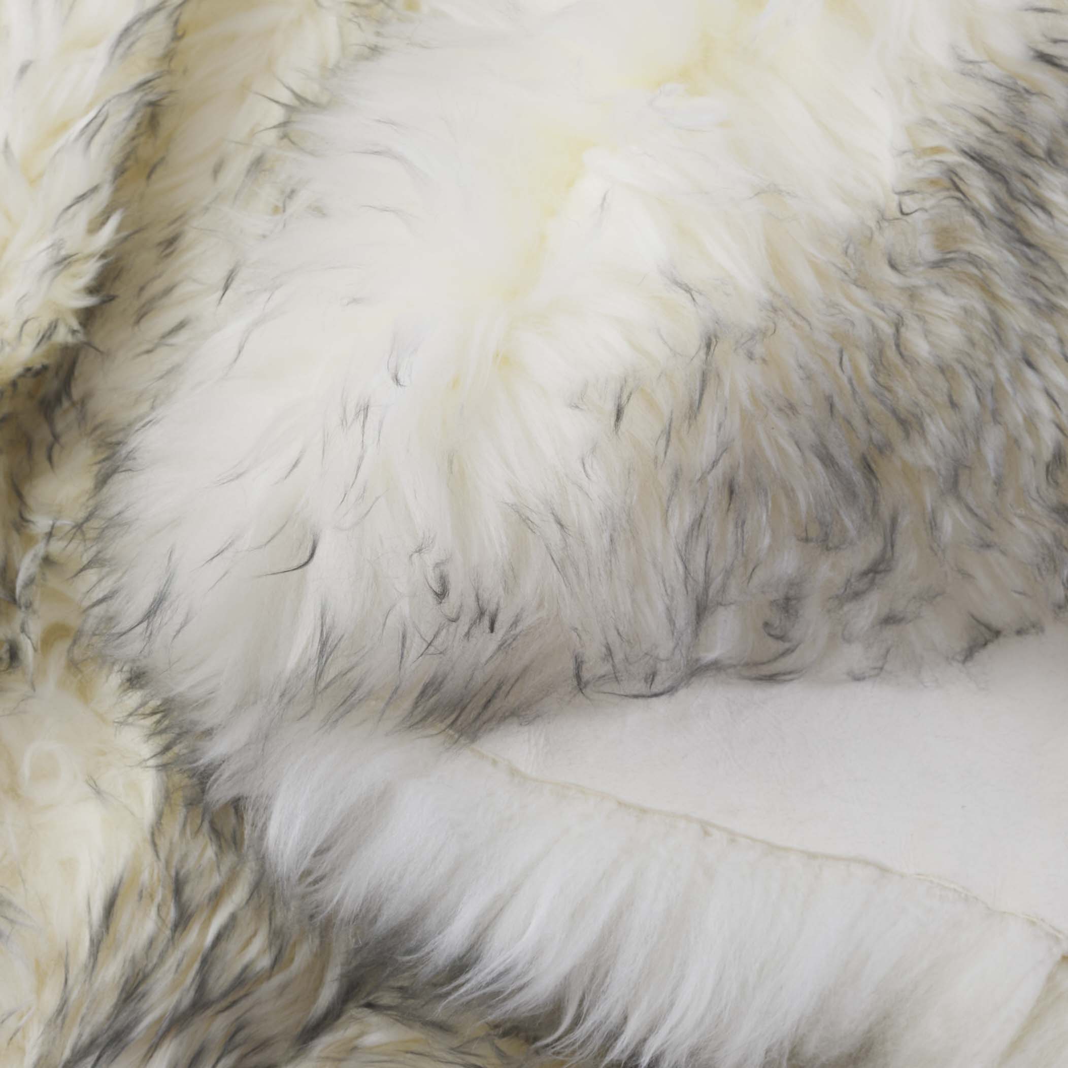 Safavieh SHS121E-2 rugs - View #6