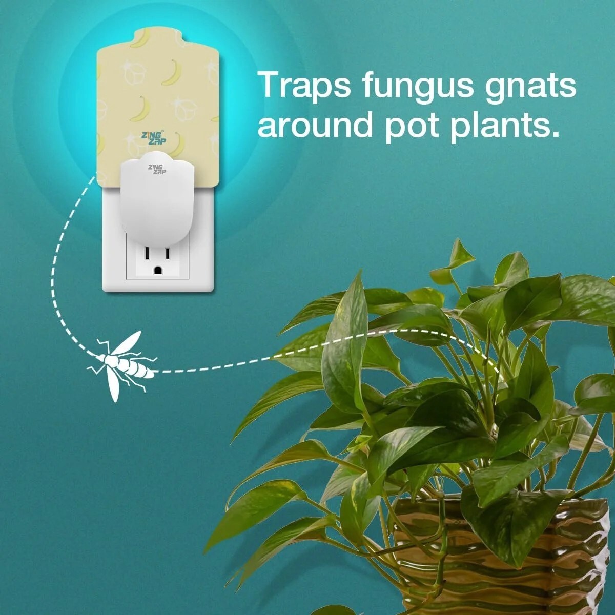 ZingZap ZZPLGTRPBNNBDL repellents - View #5