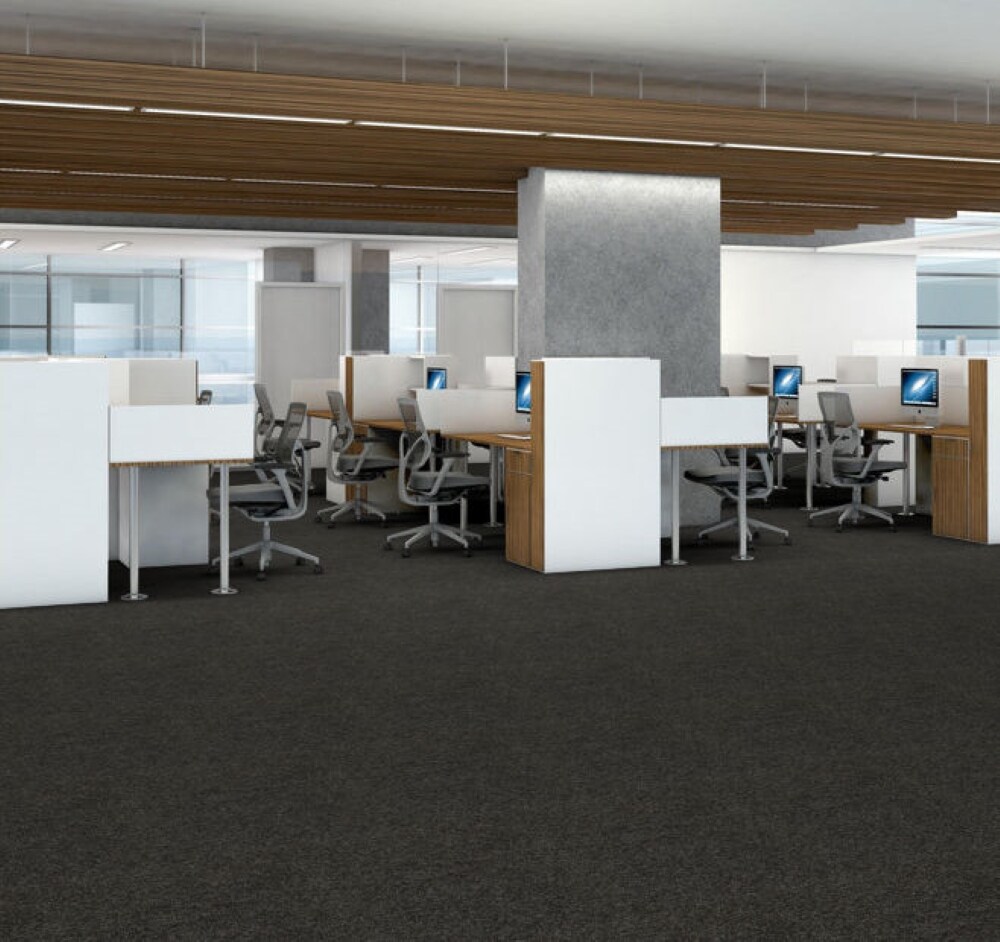 Shaw 7P0UZ00710 Carpet-Tile - View #11