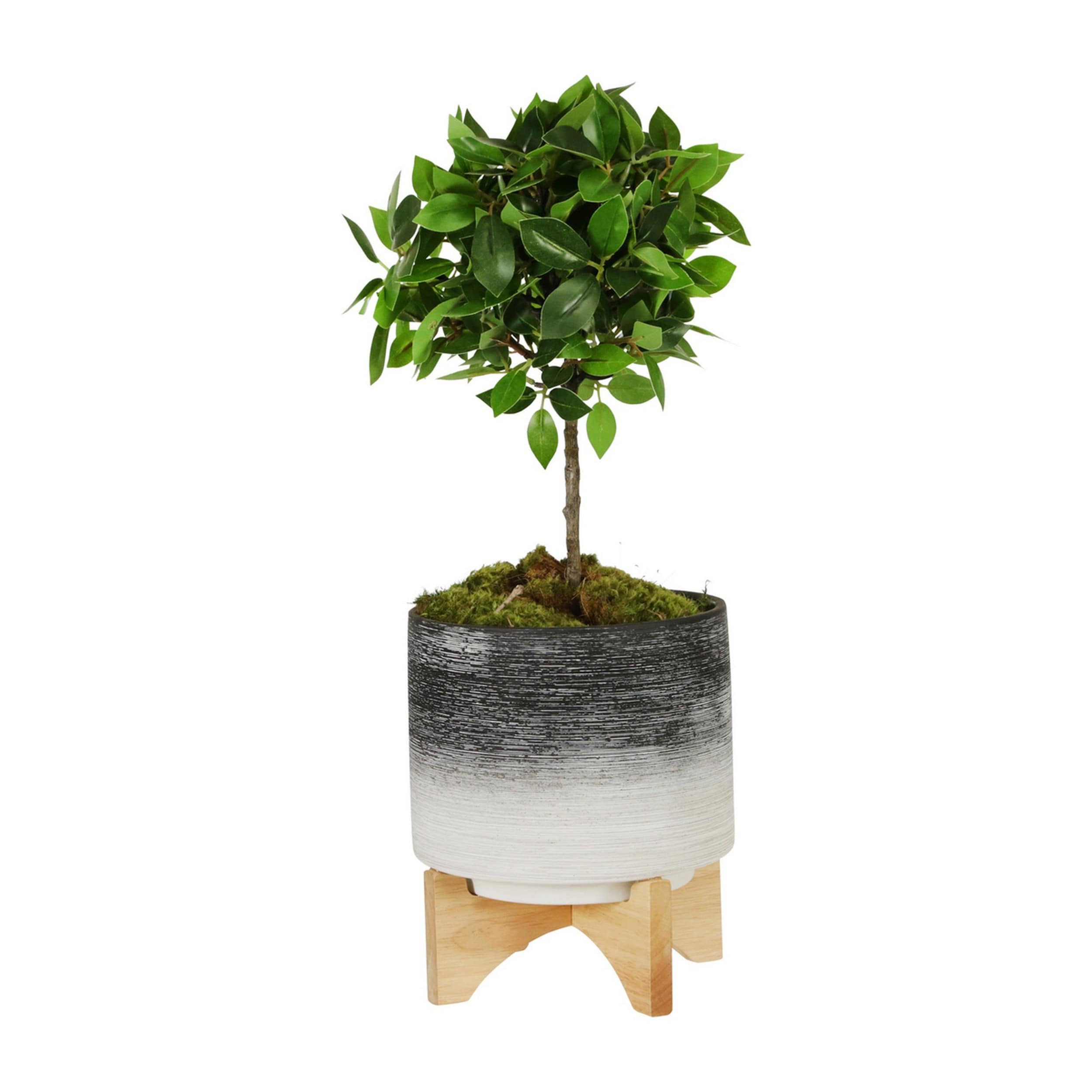 Benzara BM263828 Planter-Window-Box - View #3