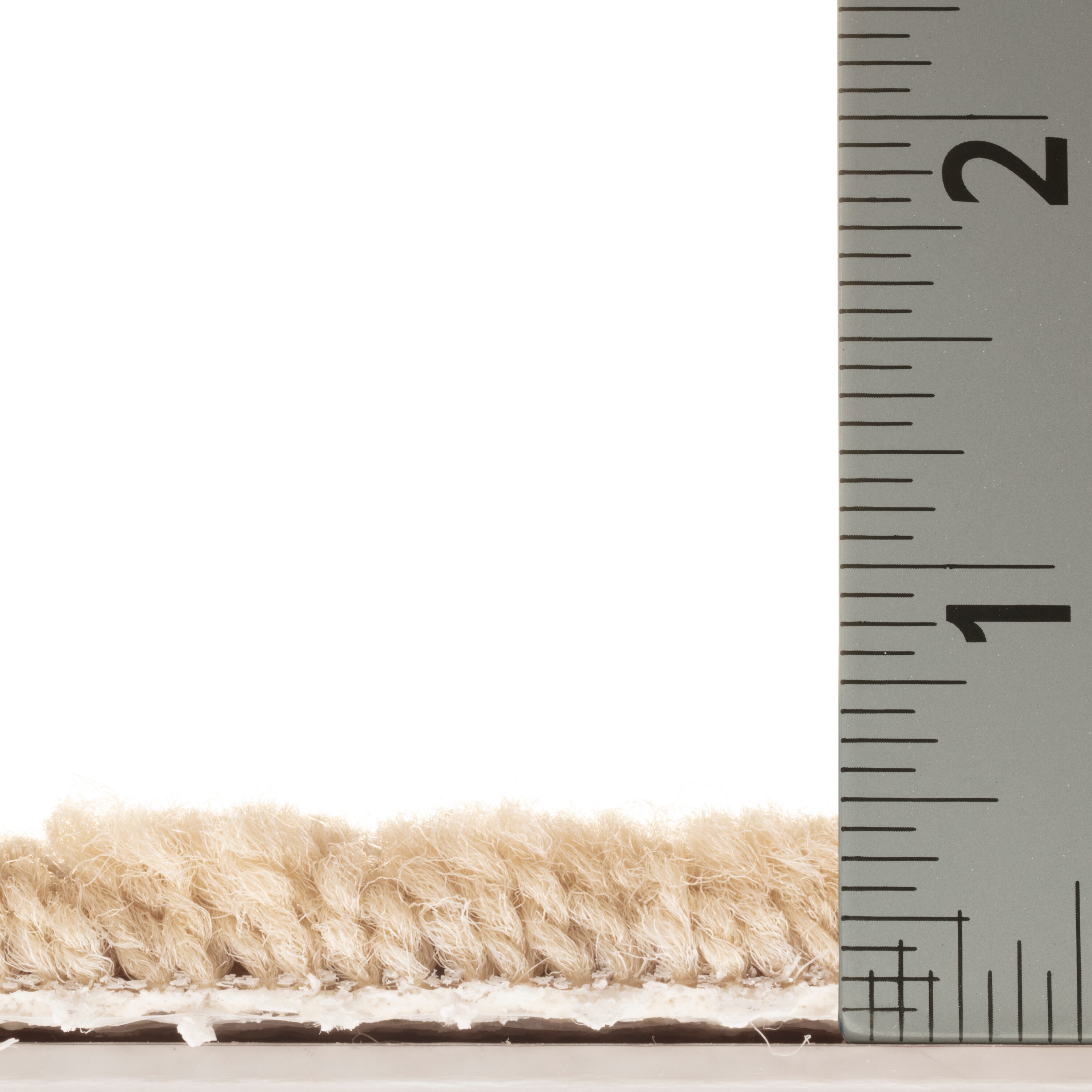 STAINMASTER 7L905 - 182 - SAMP Carpet-Samples - View #6