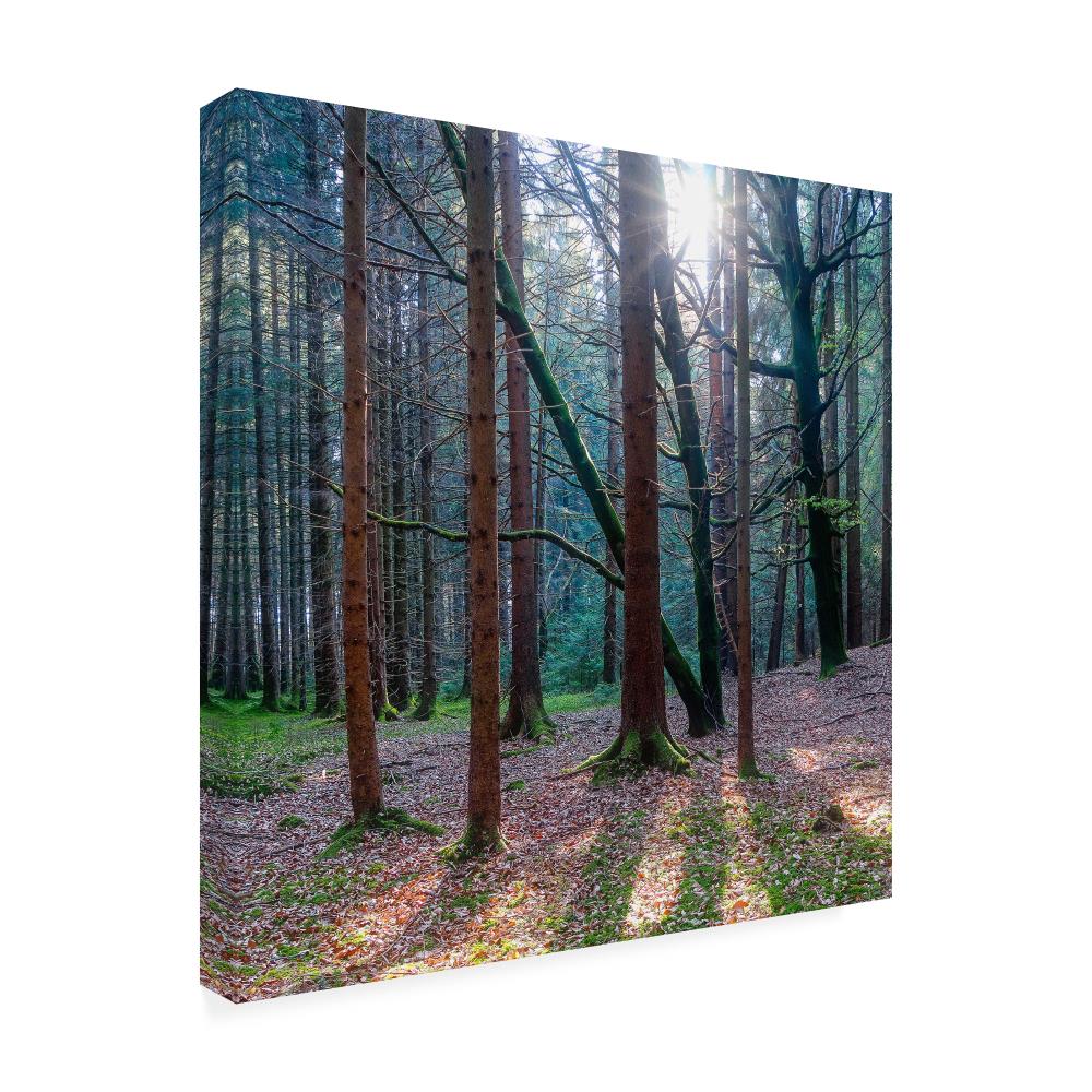 Trademark Fine Art IC02060-C1818GG Wall-Art - View #2