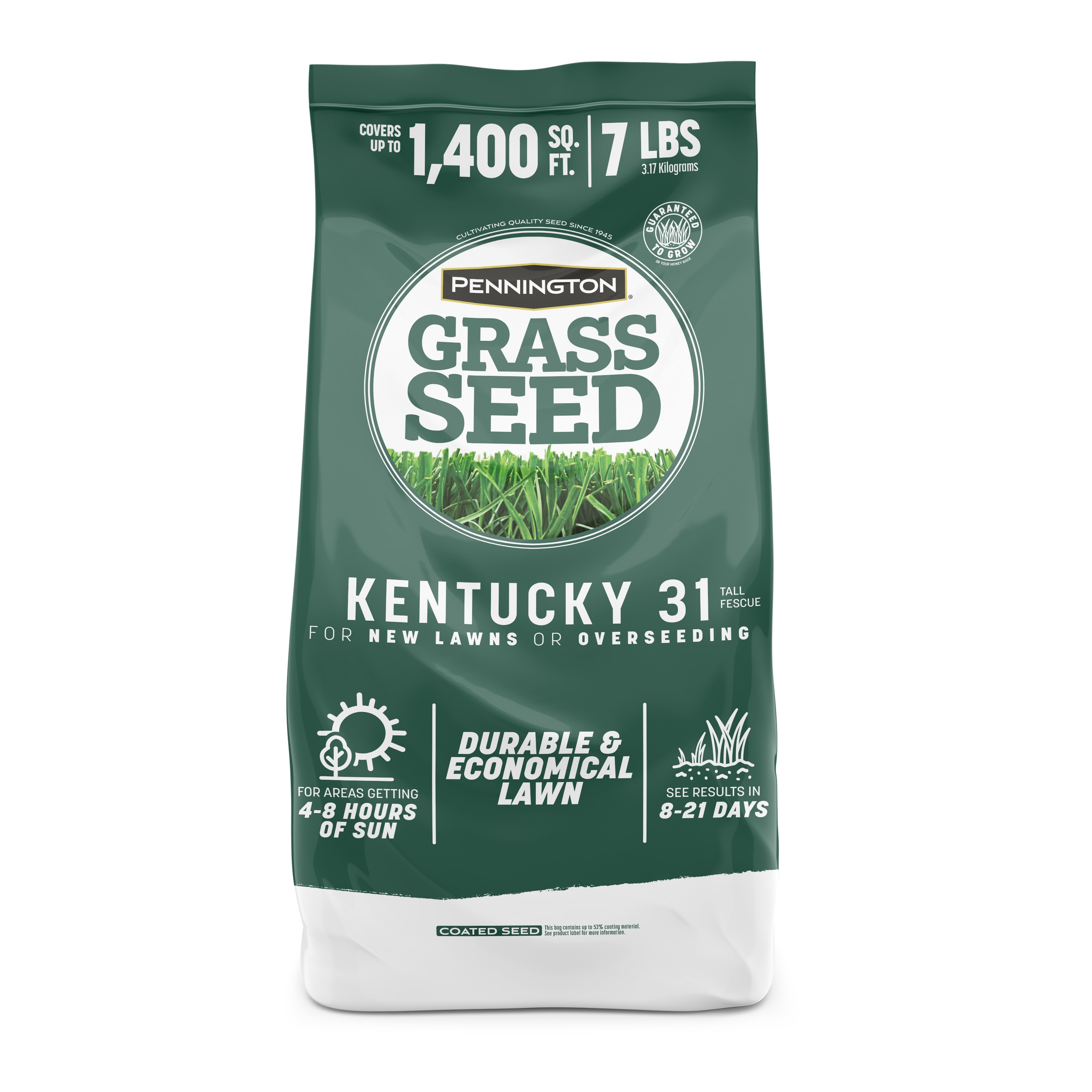 Pennington 2149601429 100 Kentucky 31 7-lb Tall Fescue Grass Seed