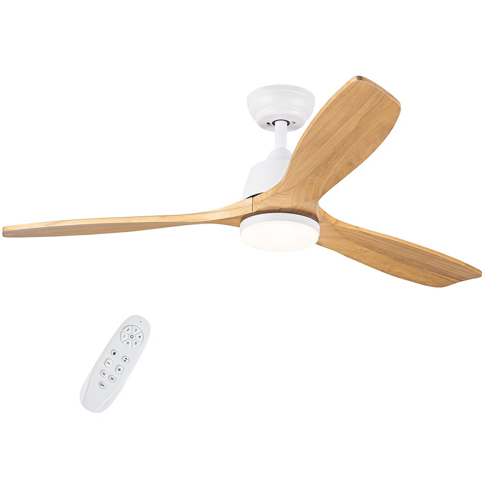 Sunrinx MG40-12-FL Ceiling-Fans - View #9