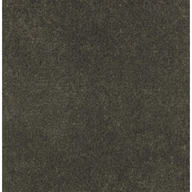 Mohawk Home & Office Sophisticated Look 36 Cloudy Day Textured Carpet Sample (Interior) Mohawk Home & Office Sophisticated Look 36 Cloudy Day Textured Carpet Sample (Interior)