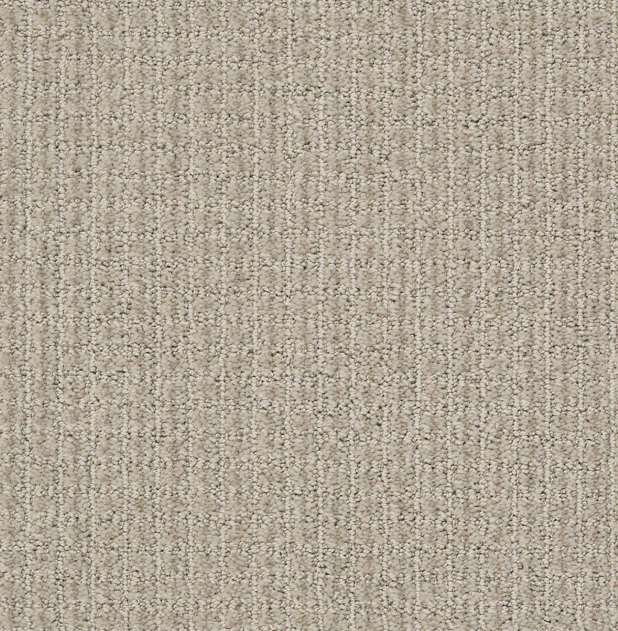 STAINMASTER PetProtect 7L885 - 106 - SAMP (Sample) Pawsh Party Natural Stone Brown 29.2-oz sq yard Nylon Pattern Indoor Carpet
