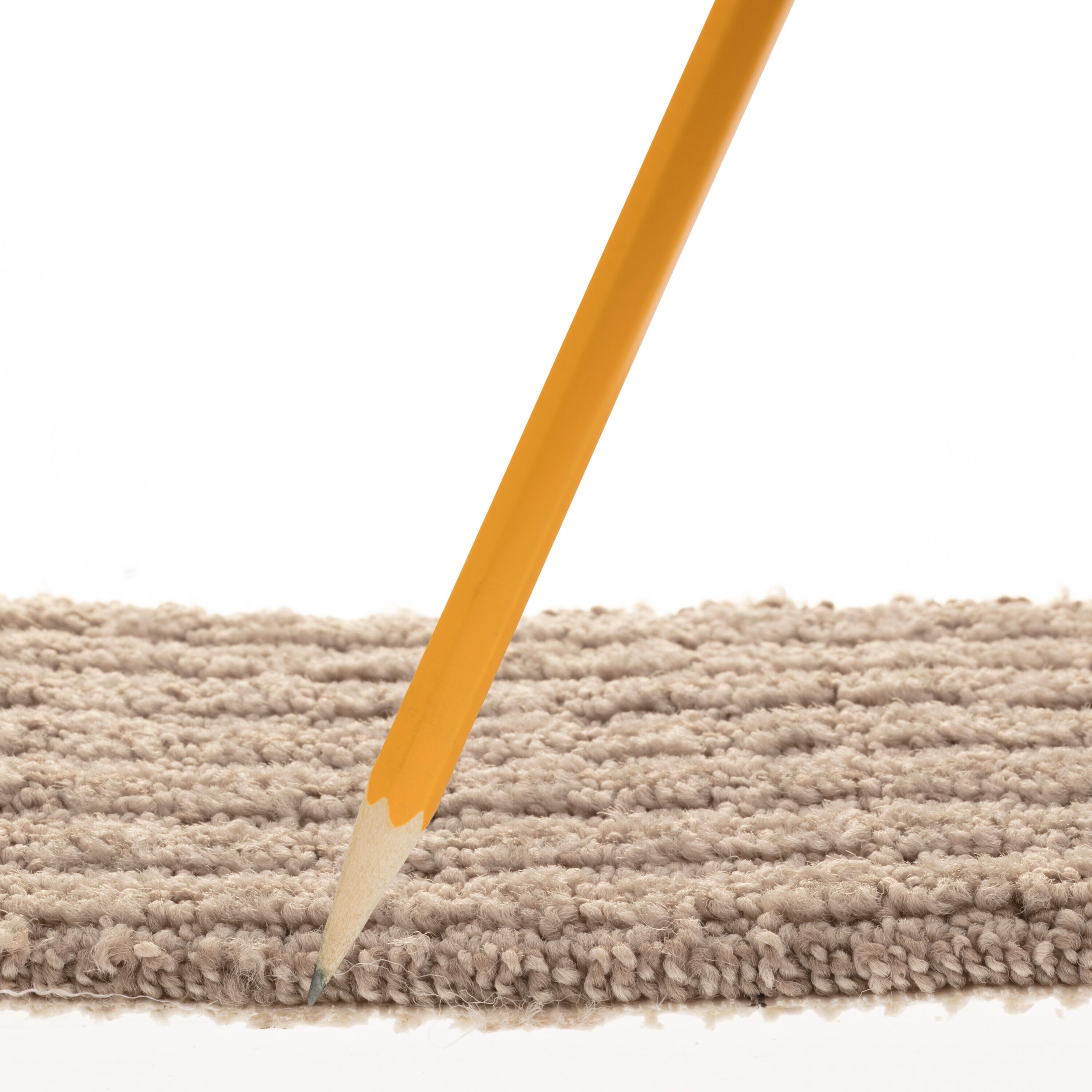 STAINMASTER PetProtect 7L885 - 700 - SAMP Carpet-Samples - View #7