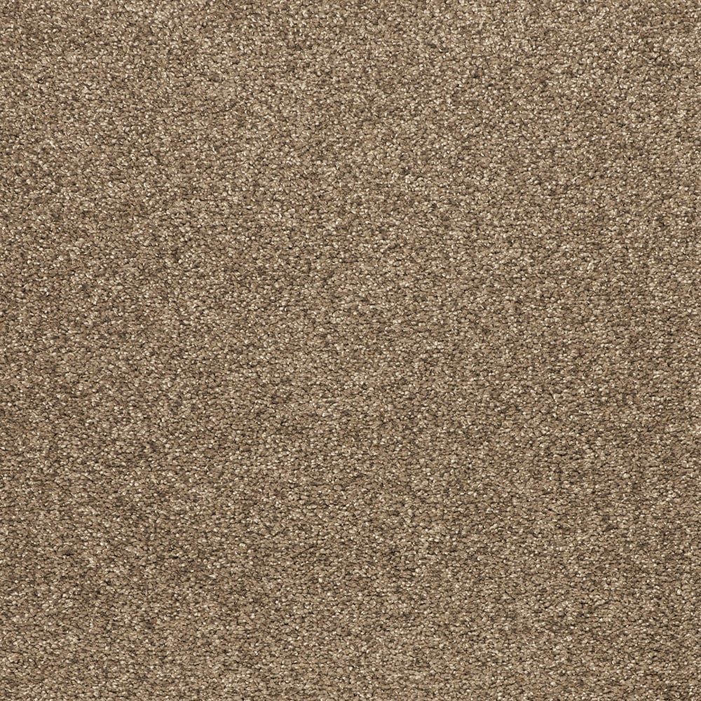 Style Selections STP32-L008-0808 (Sample) Vibrant Blend I Mushroom Brown 37-oz sq yard Polyester Textured Indoor Carpet