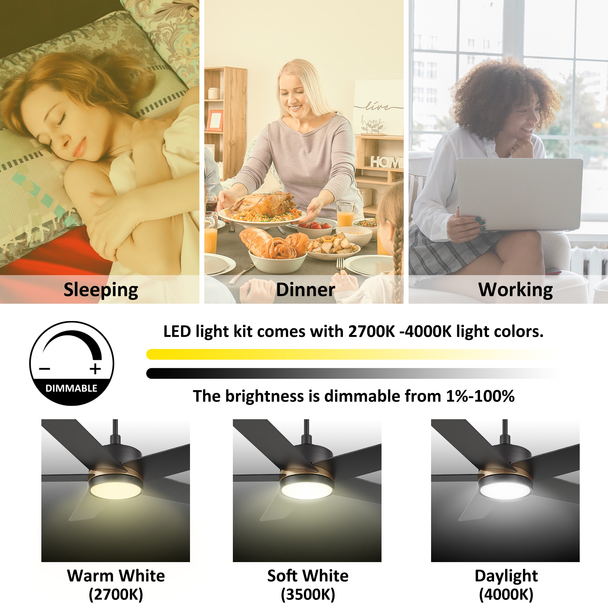CARRO USA LS525E5-L12-B2-1A Ceiling-Fans - View #6