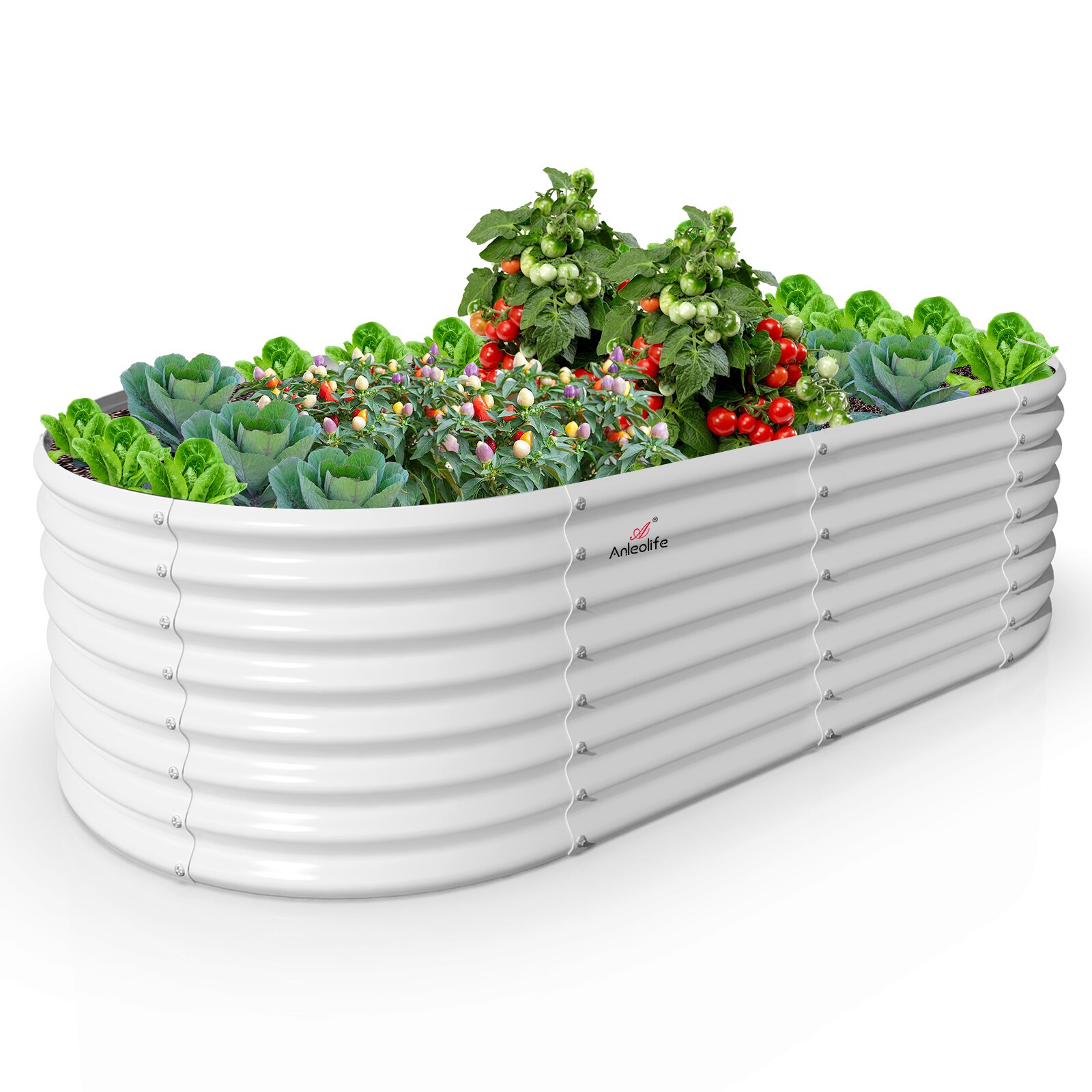 Damerin RBSZYYX-02 36-in W x 72-in L x 24-in H Antique White Metal Raised Garden Bed